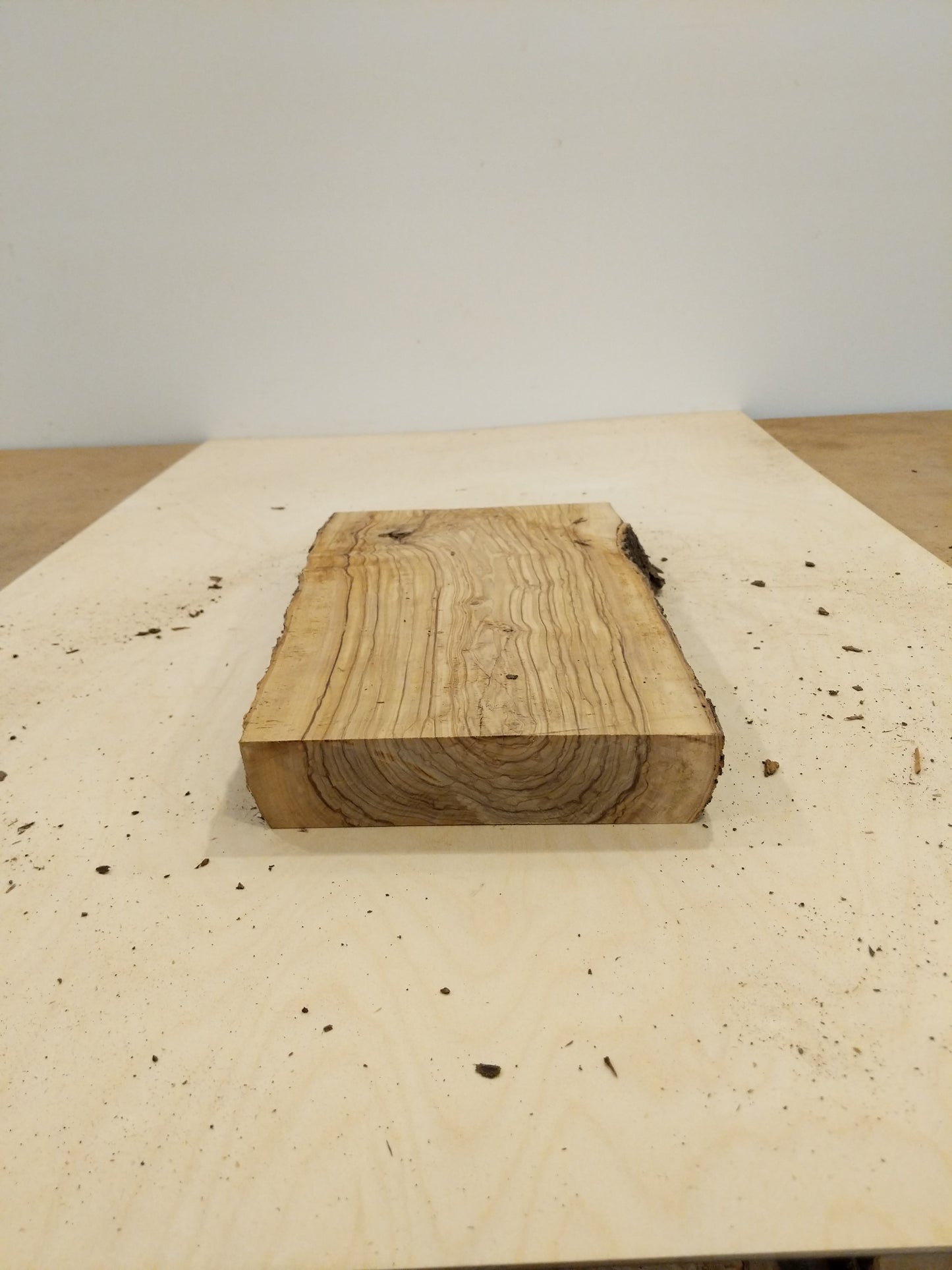 Italian Olive Wood Live Edge Mini Slab
