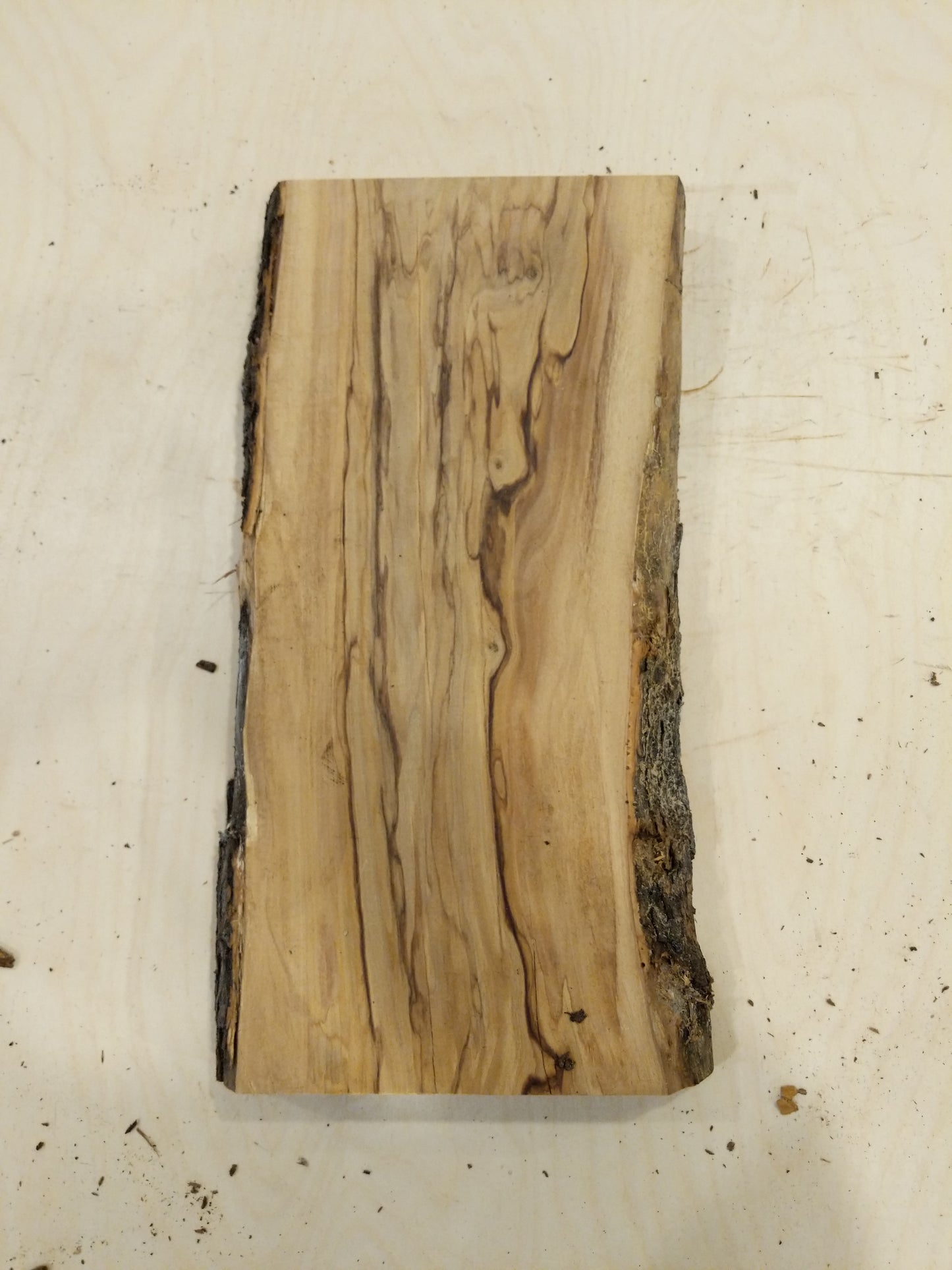 Italian Olive Wood Live Edge Mini Slab