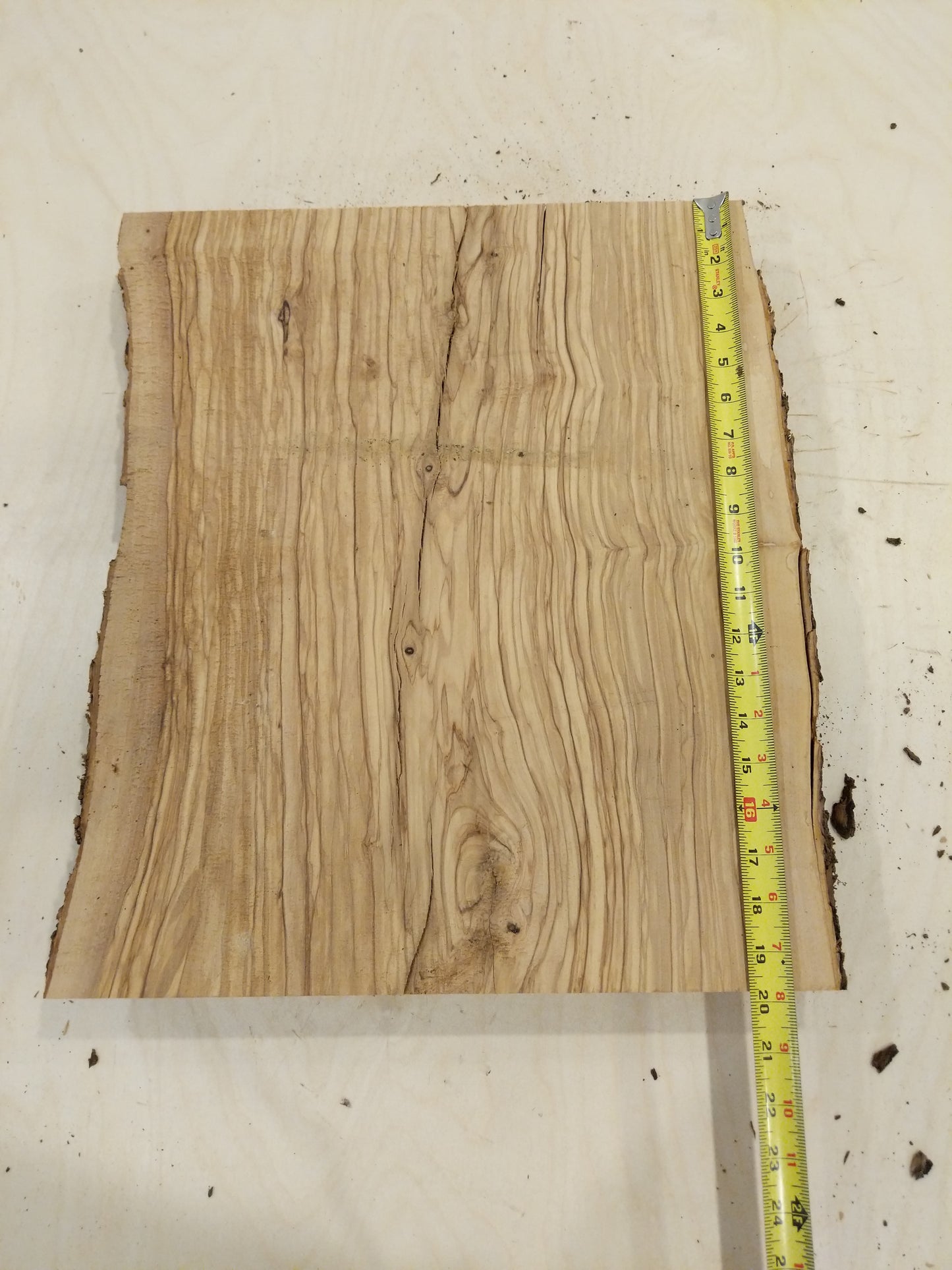 Italian Olive Wood Live Edge Mini Slab