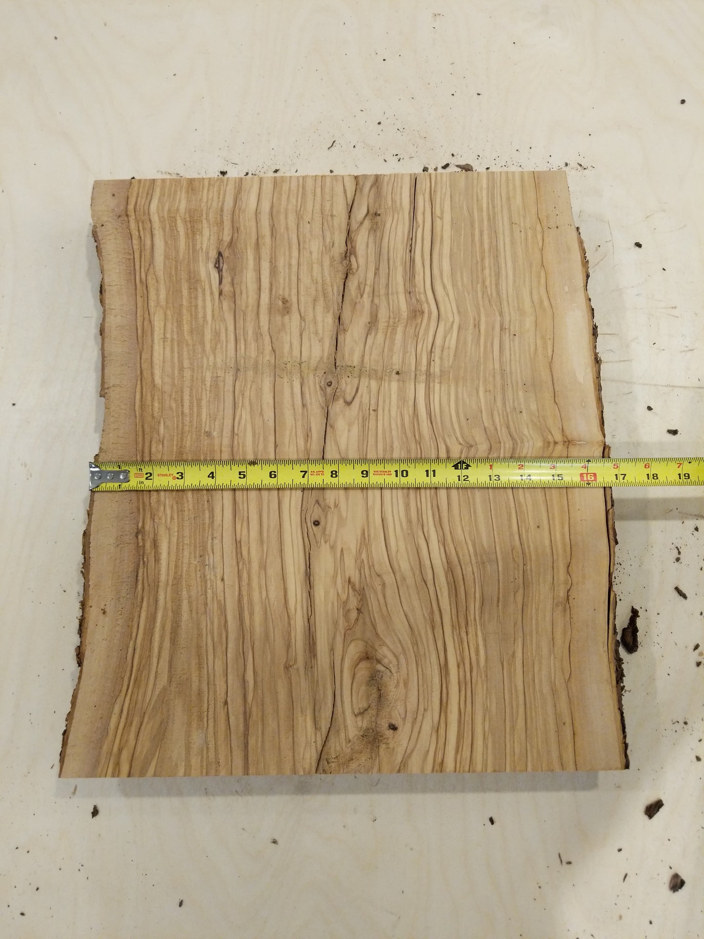 Italian Olive Wood Live Edge Mini Slab