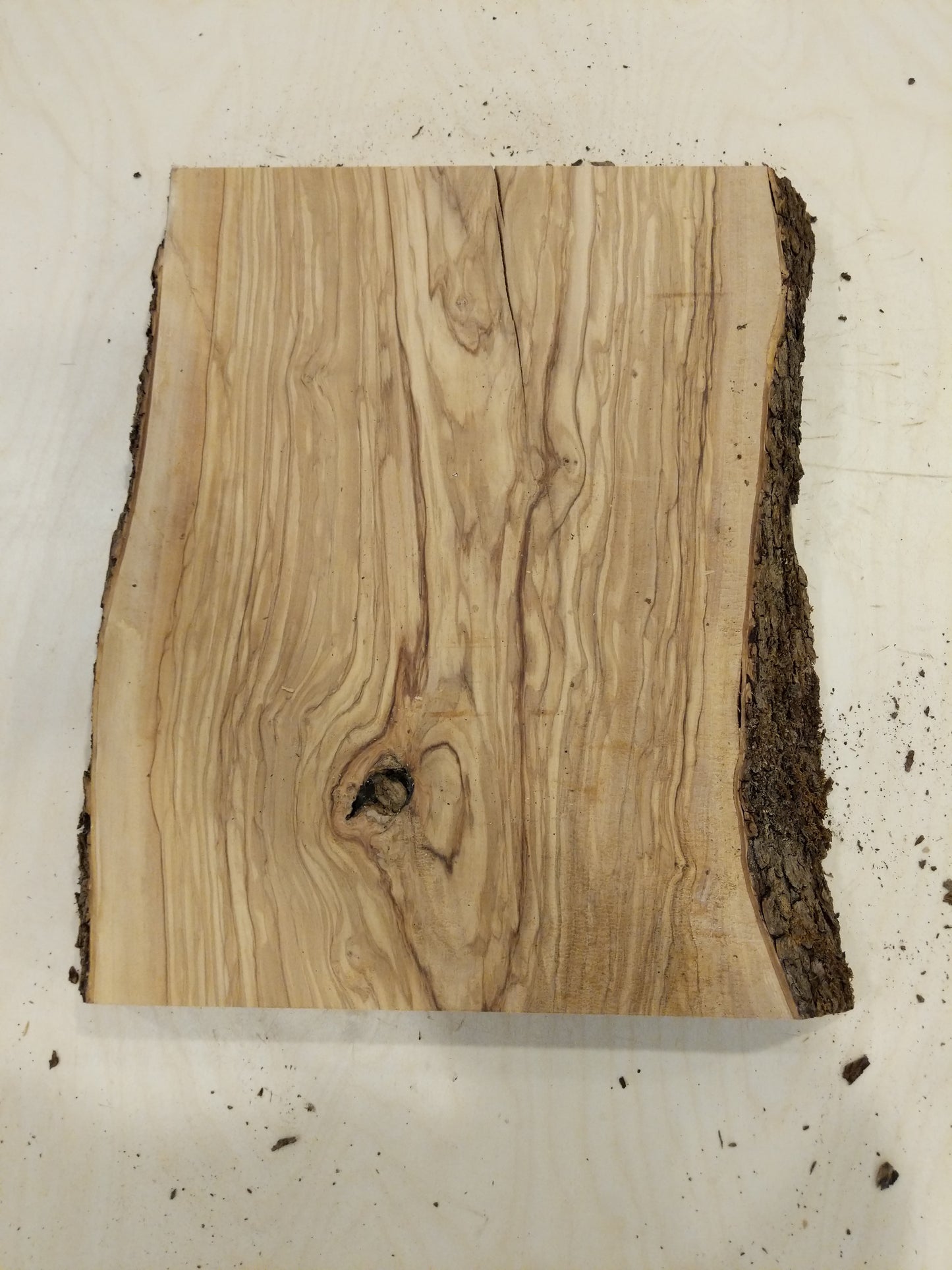 Italian Olive Wood Live Edge Mini Slab