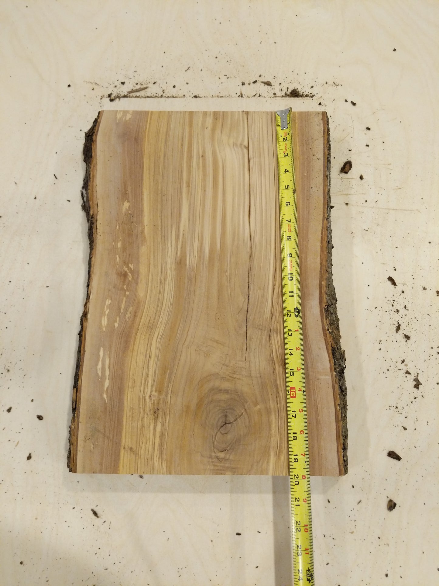 Italian Olive Wood Live Edge Mini Slab