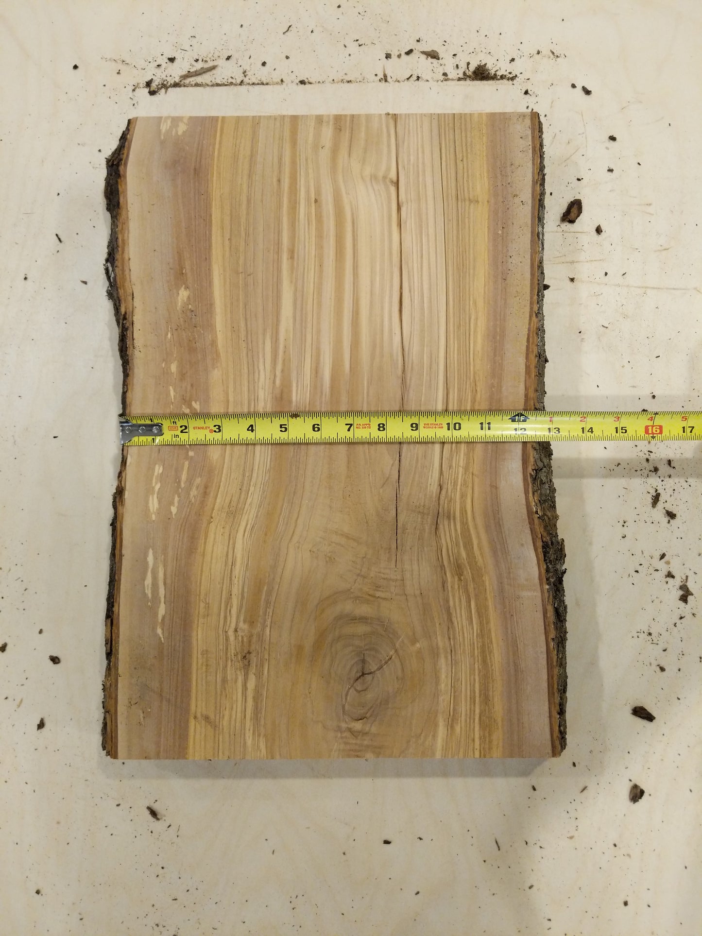 Italian Olive Wood Live Edge Mini Slab