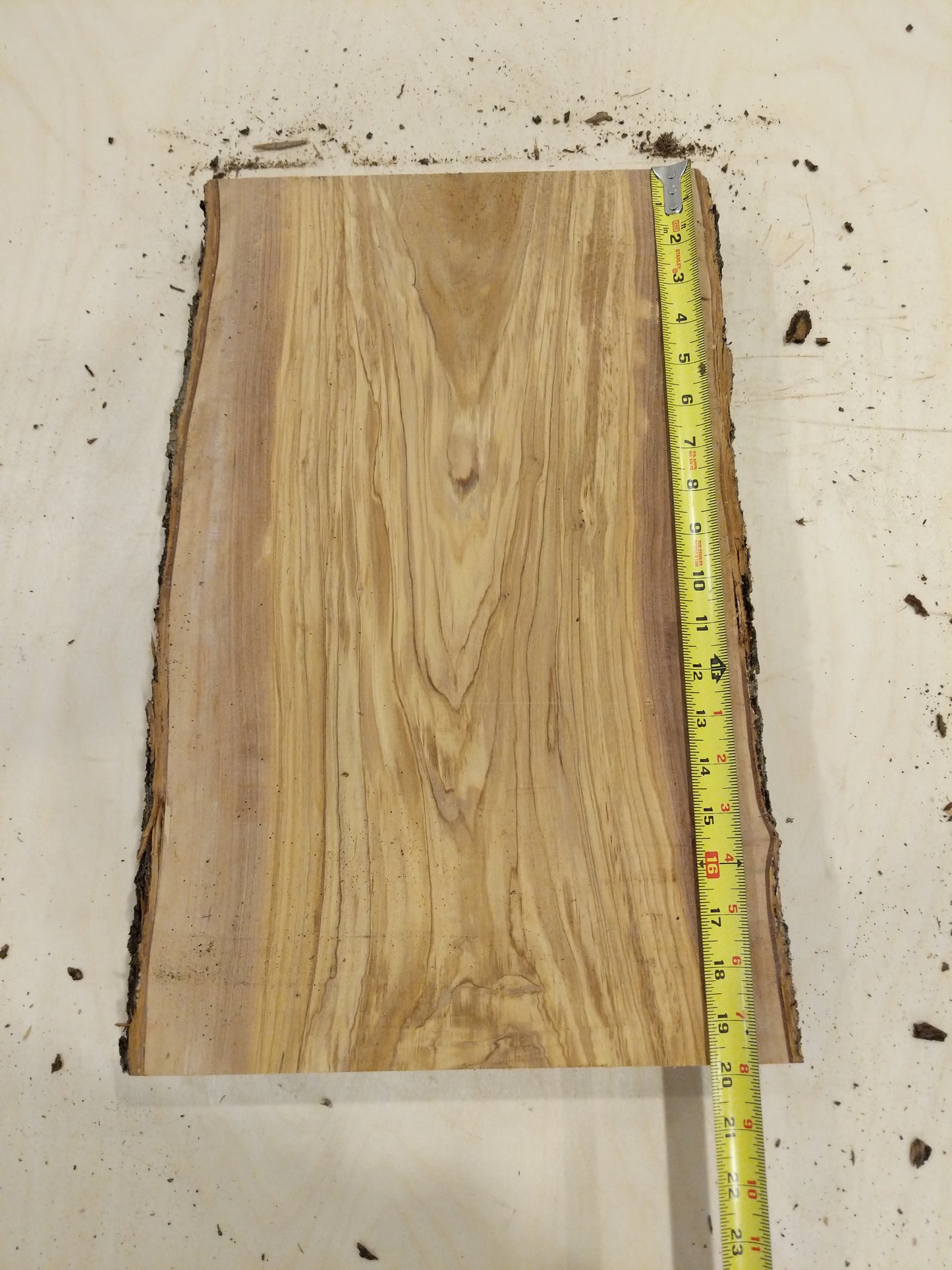 Italian Olive Wood Live Edge Mini Slab