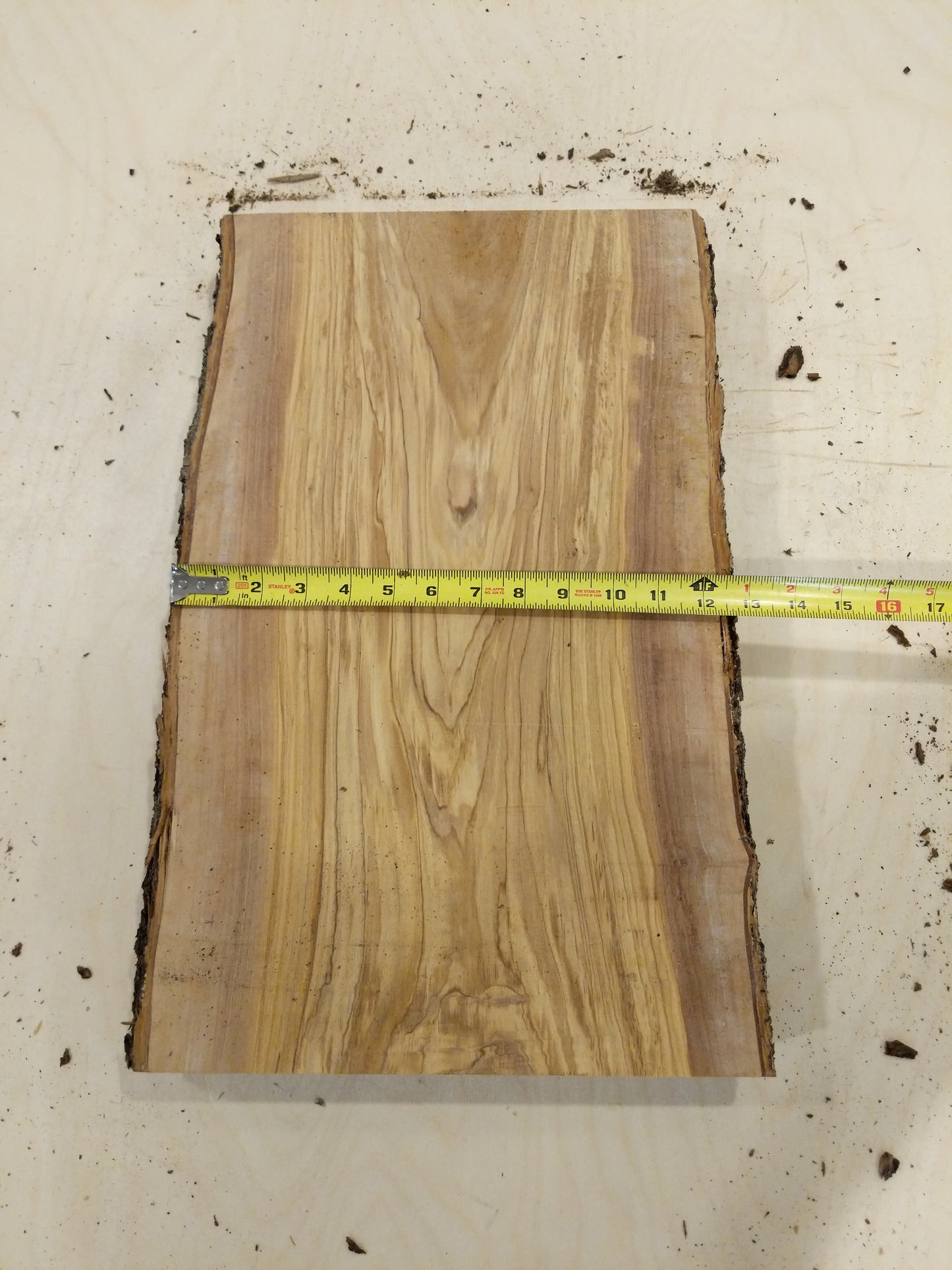 Italian Olive Wood Live Edge Mini Slab