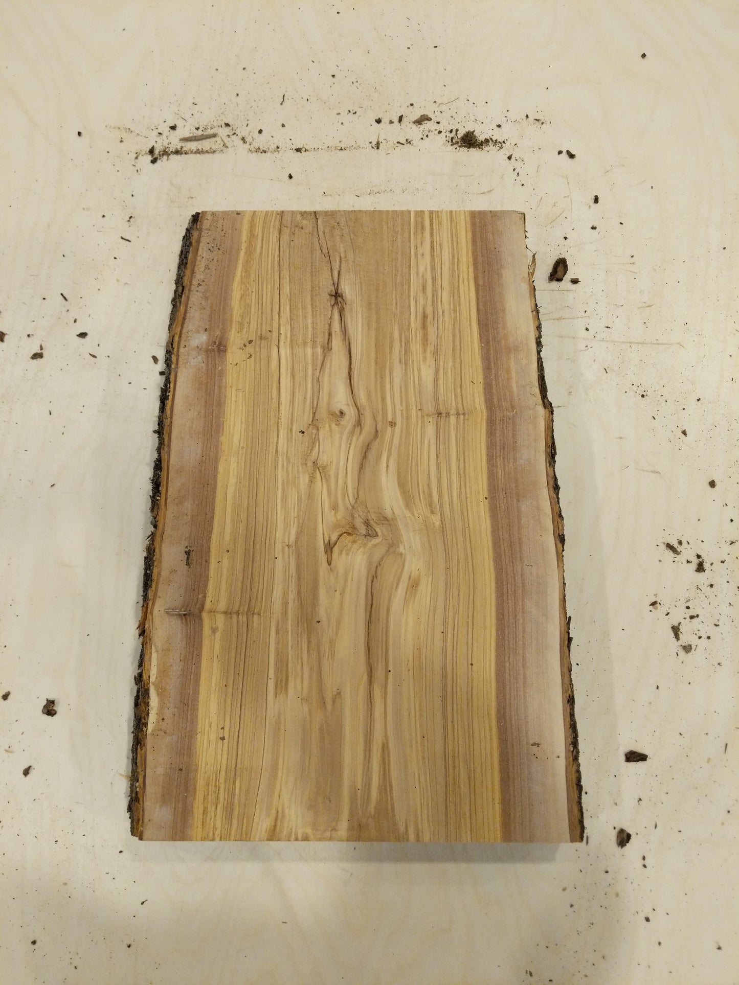 Italian Olive Wood Live Edge Mini Slab