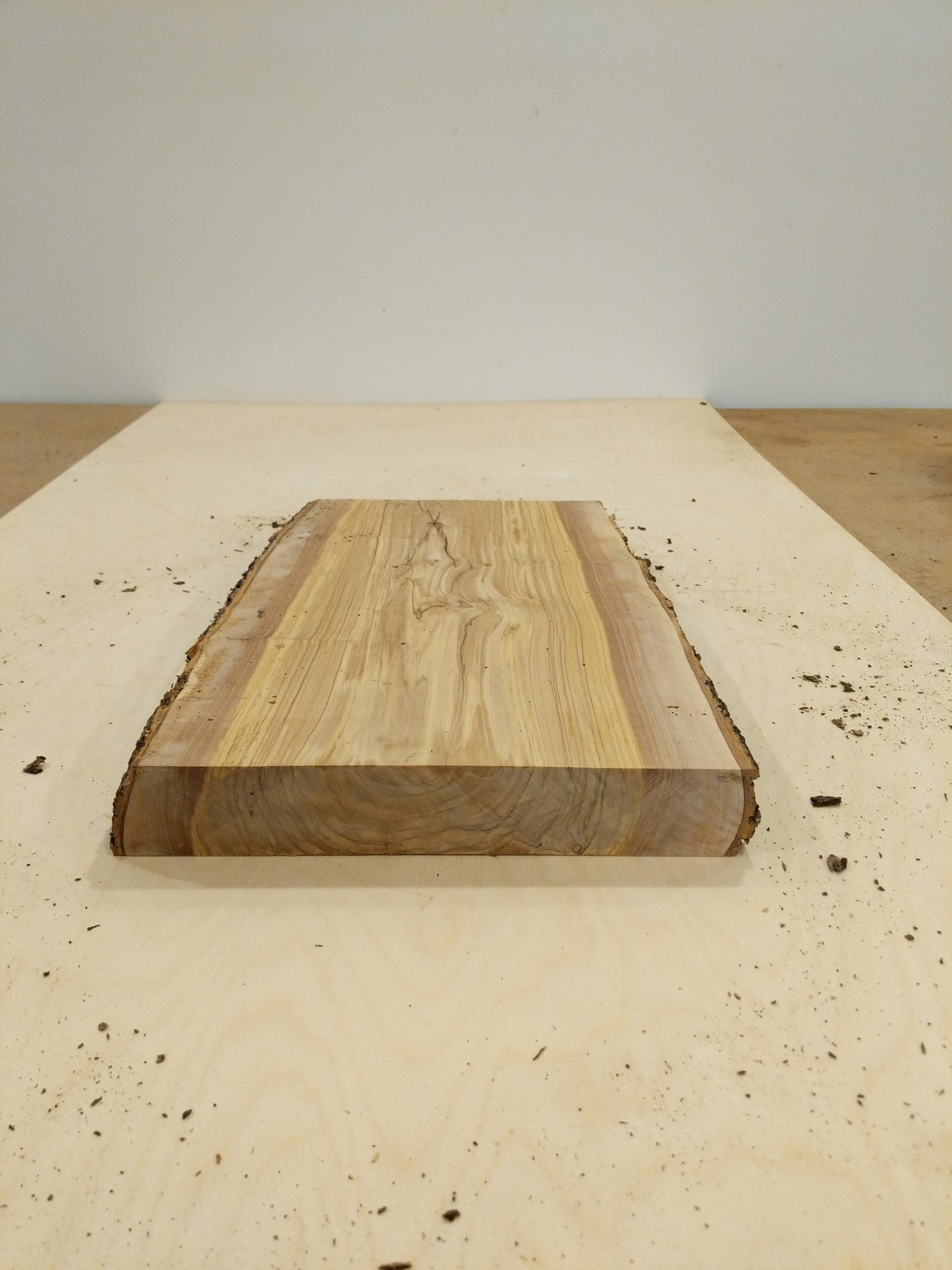 Italian Olive Wood Live Edge Mini Slab