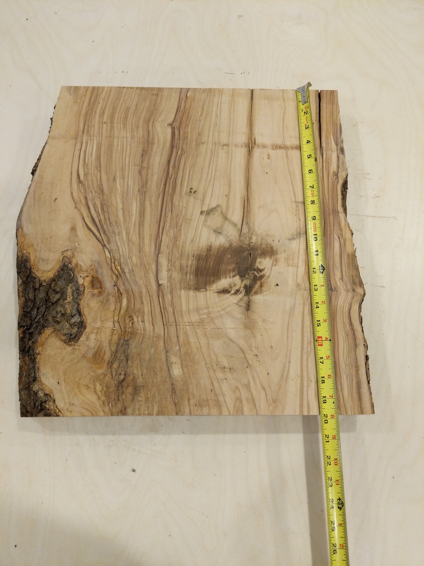 Italian Olive Wood Live Edge Mini Slab