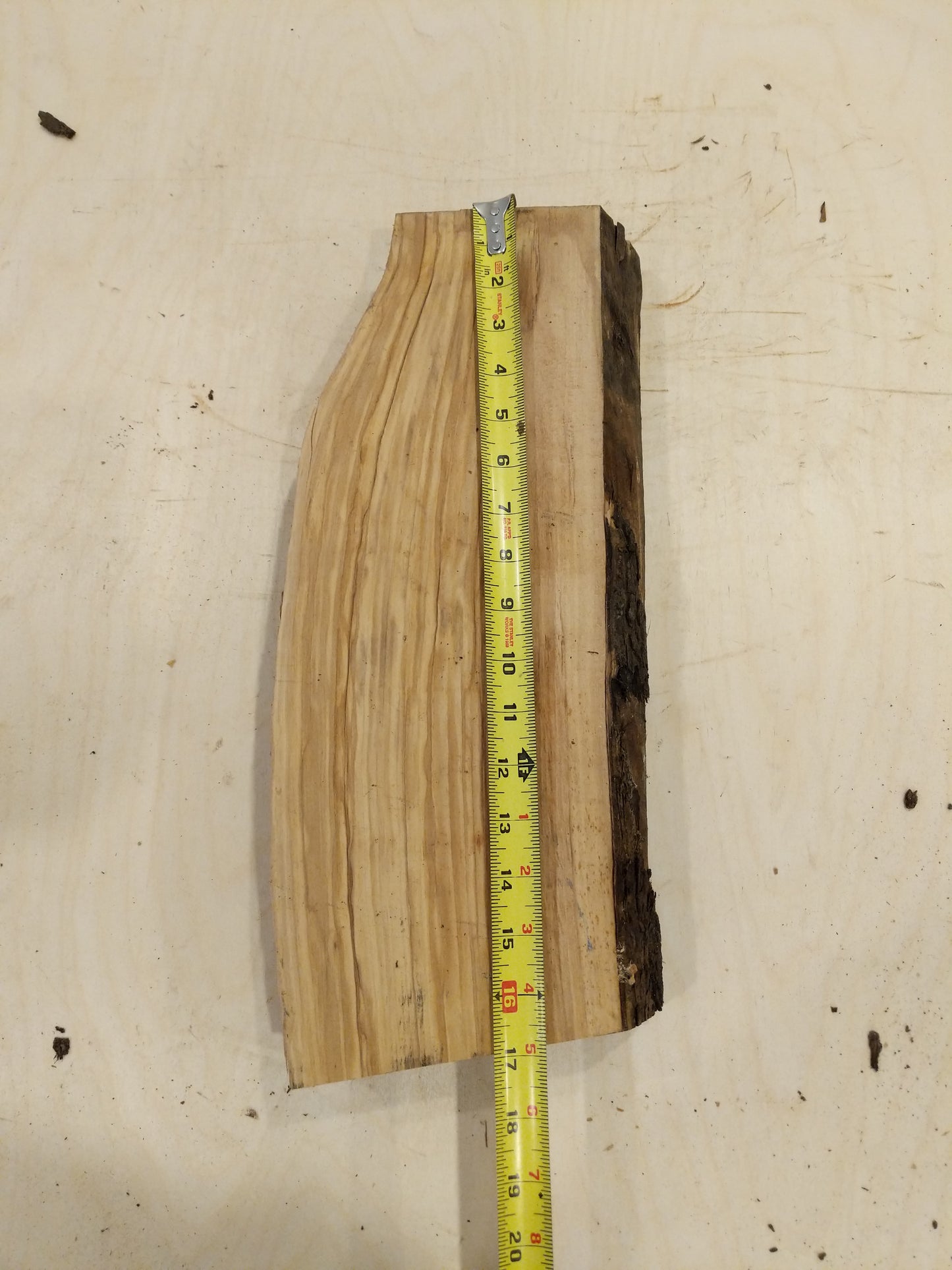 Italian Olive Wood Live Edge Mini Slab