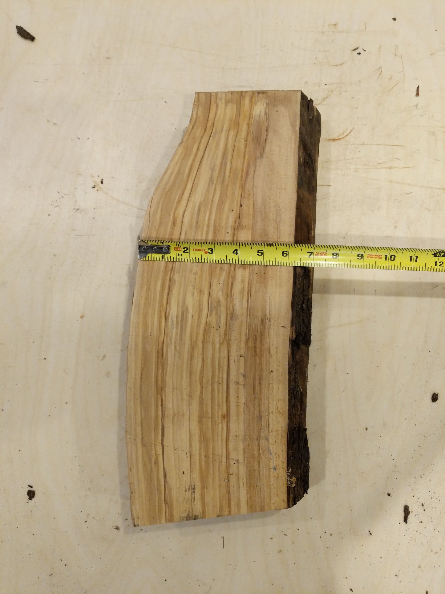 Italian Olive Wood Live Edge Mini Slab