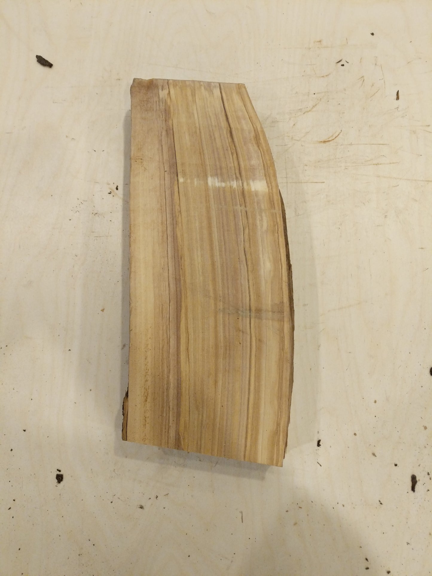 Italian Olive Wood Live Edge Mini Slab
