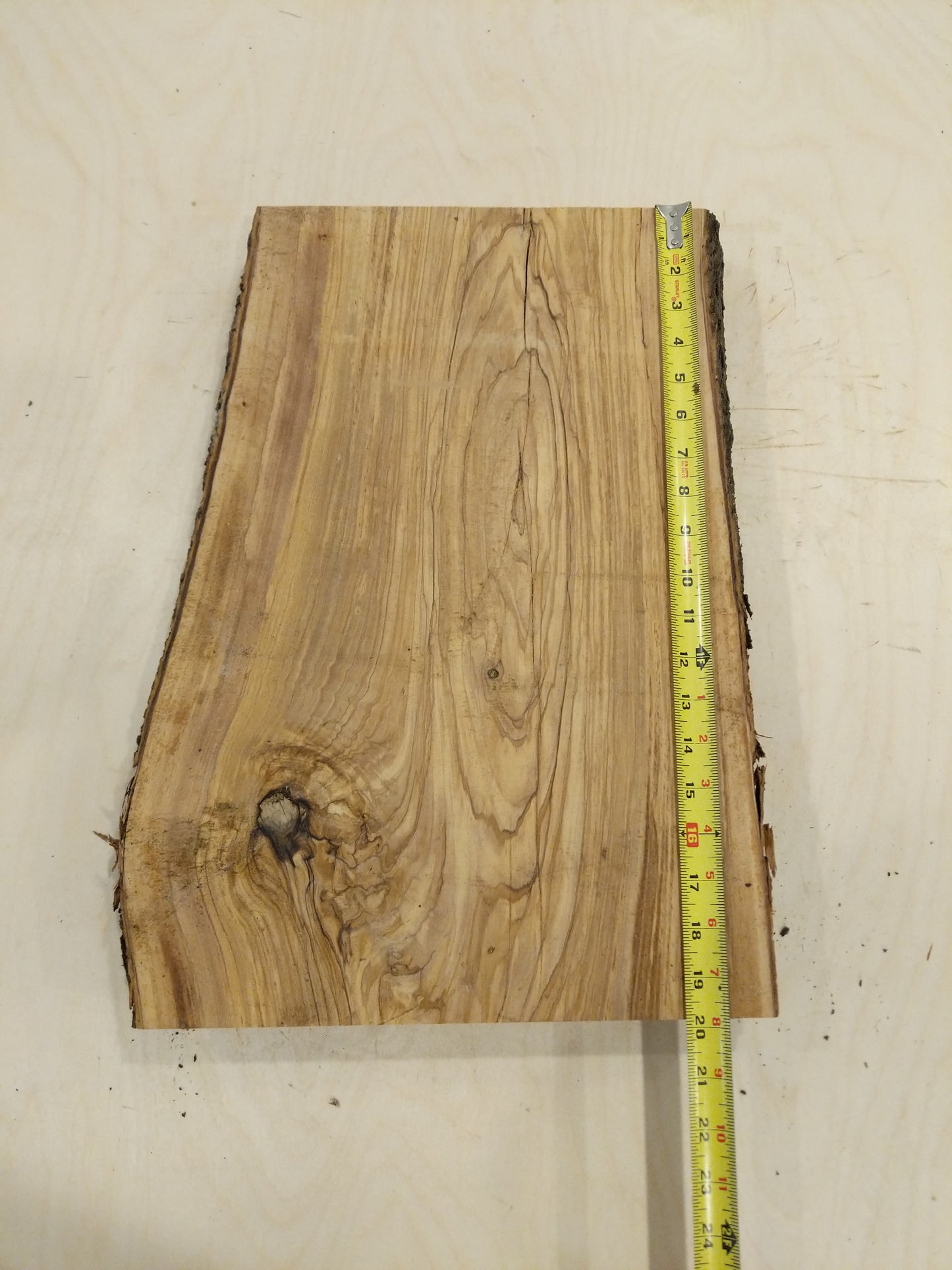 Italian Olive Wood Live Edge Mini Slab