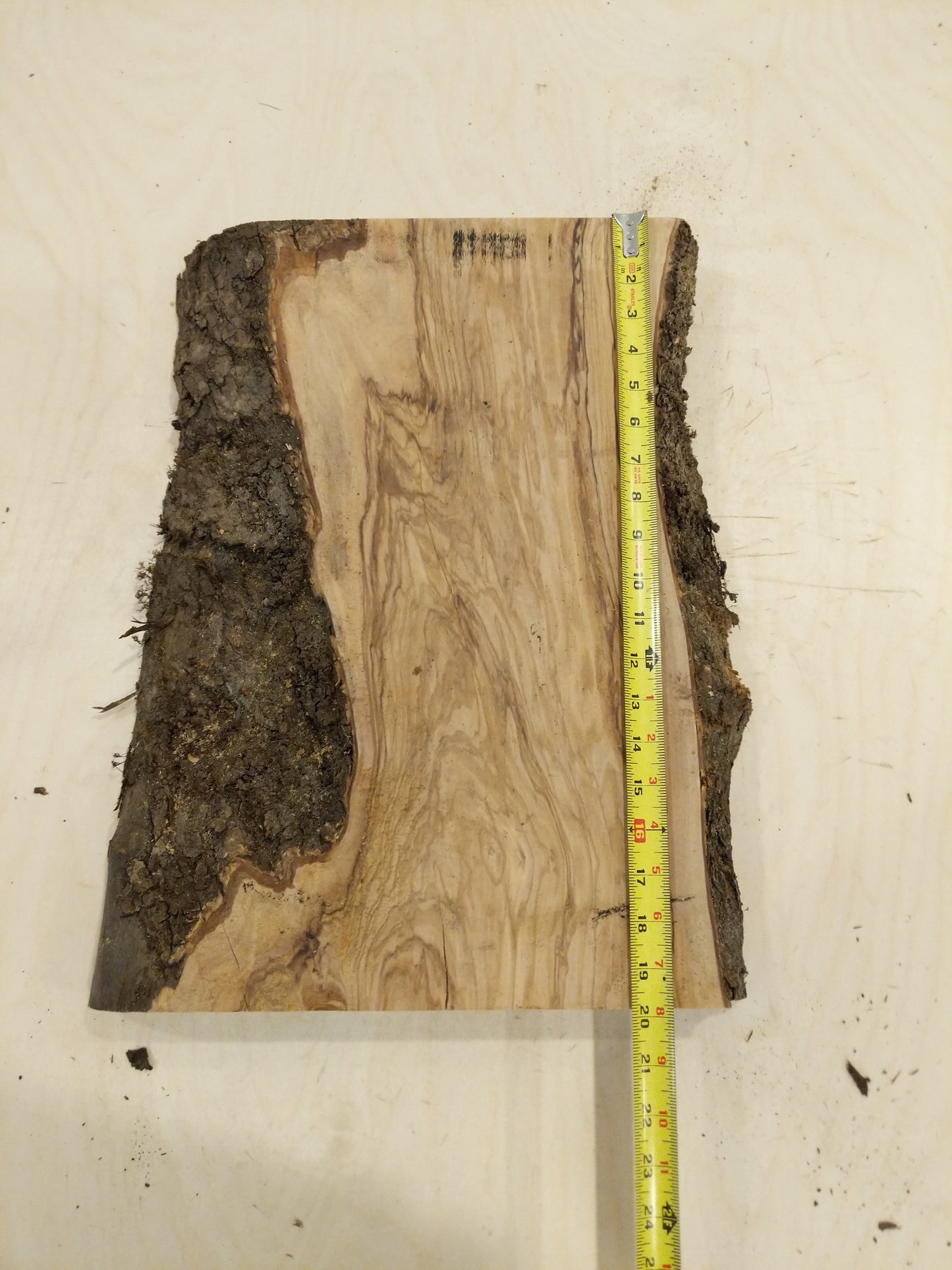 Italian Olive Wood Live Edge Mini Slab