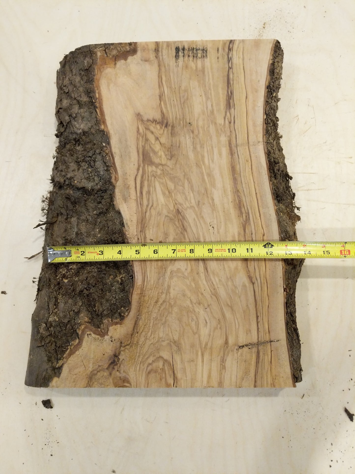 Italian Olive Wood Live Edge Mini Slab