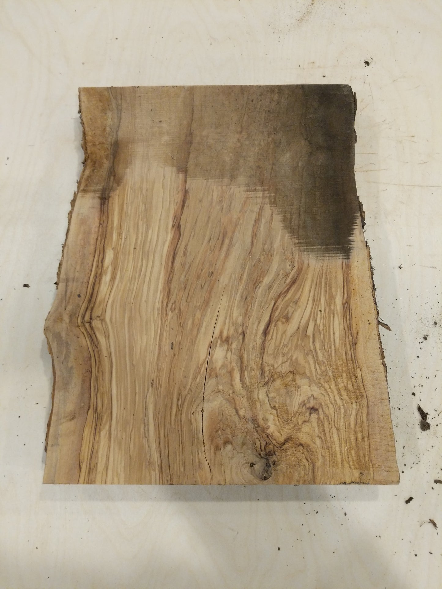 Italian Olive Wood Live Edge Mini Slab