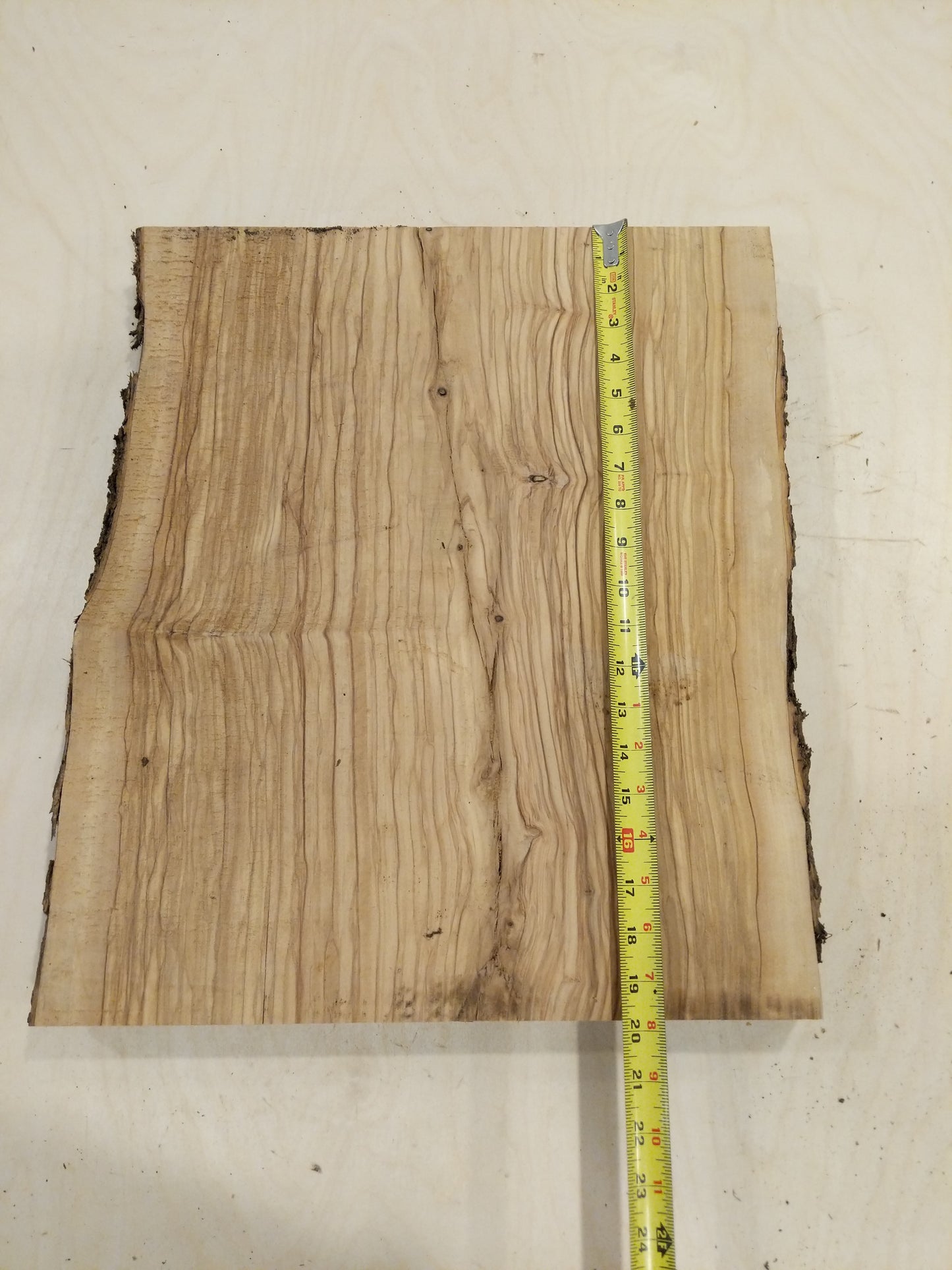 Italian Olive Wood Live Edge Mini Slab