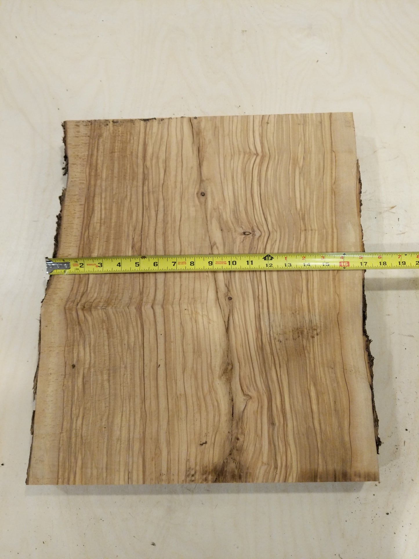 Italian Olive Wood Live Edge Mini Slab