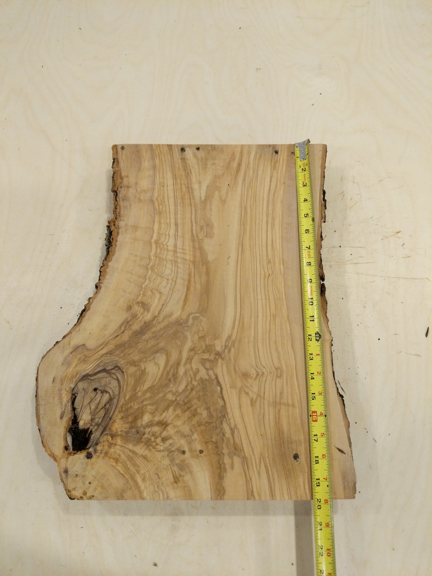 Italian Olive Wood Live Edge Mini Slab