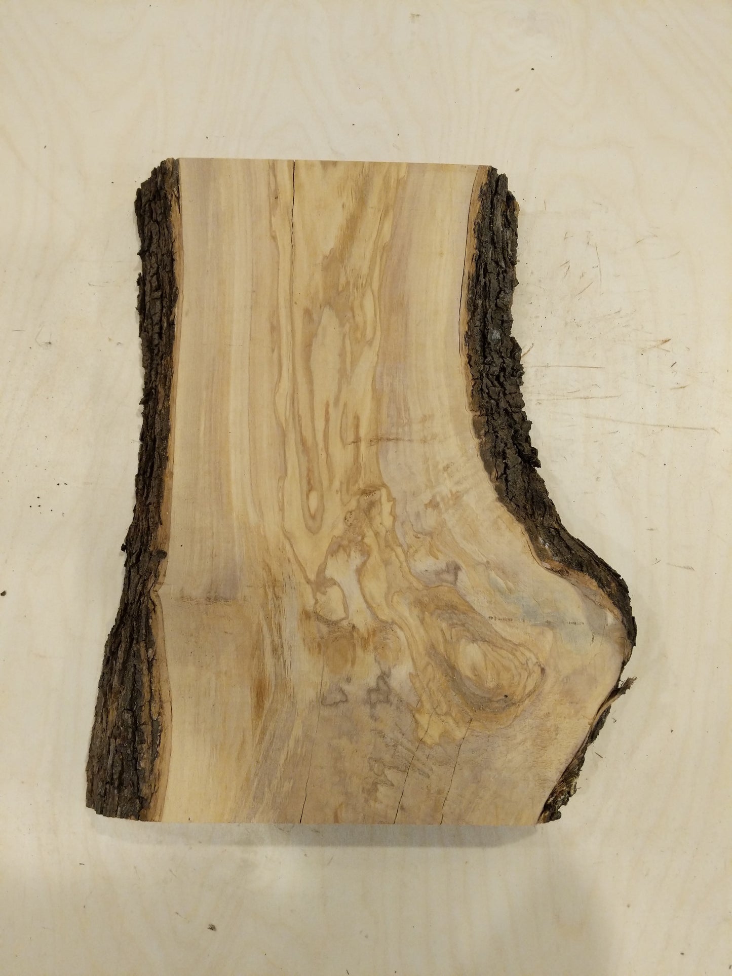Italian Olive Wood Live Edge Mini Slab