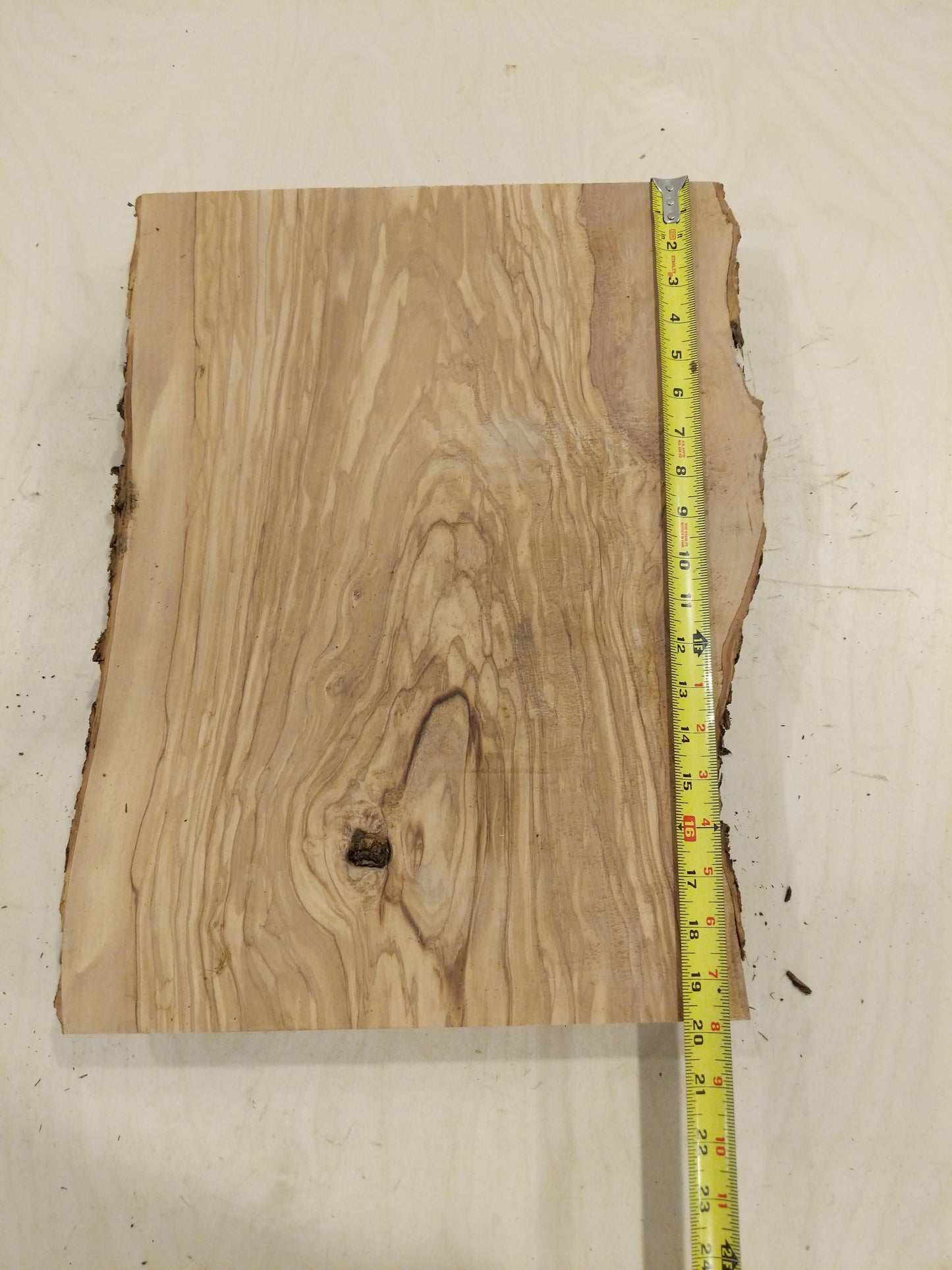 Italian Olive Wood Live Edge Mini Slab