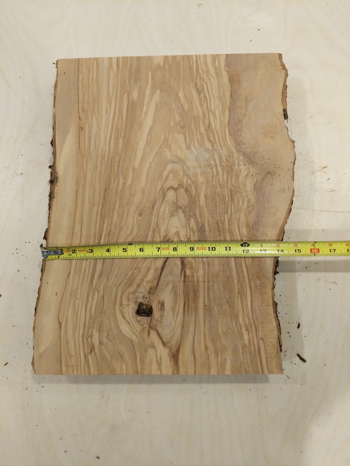 Italian Olive Wood Live Edge Mini Slab