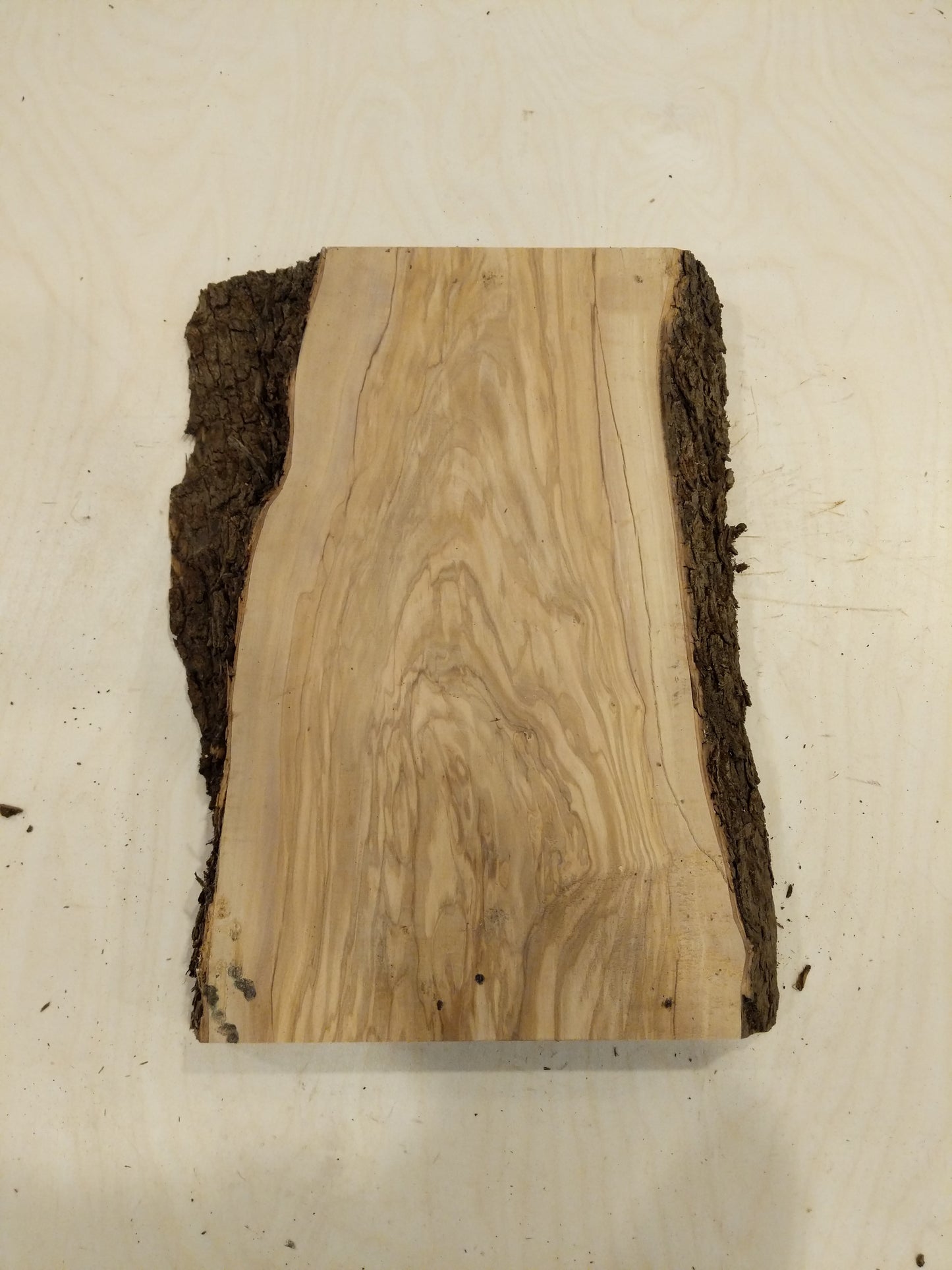 Italian Olive Wood Live Edge Mini Slab