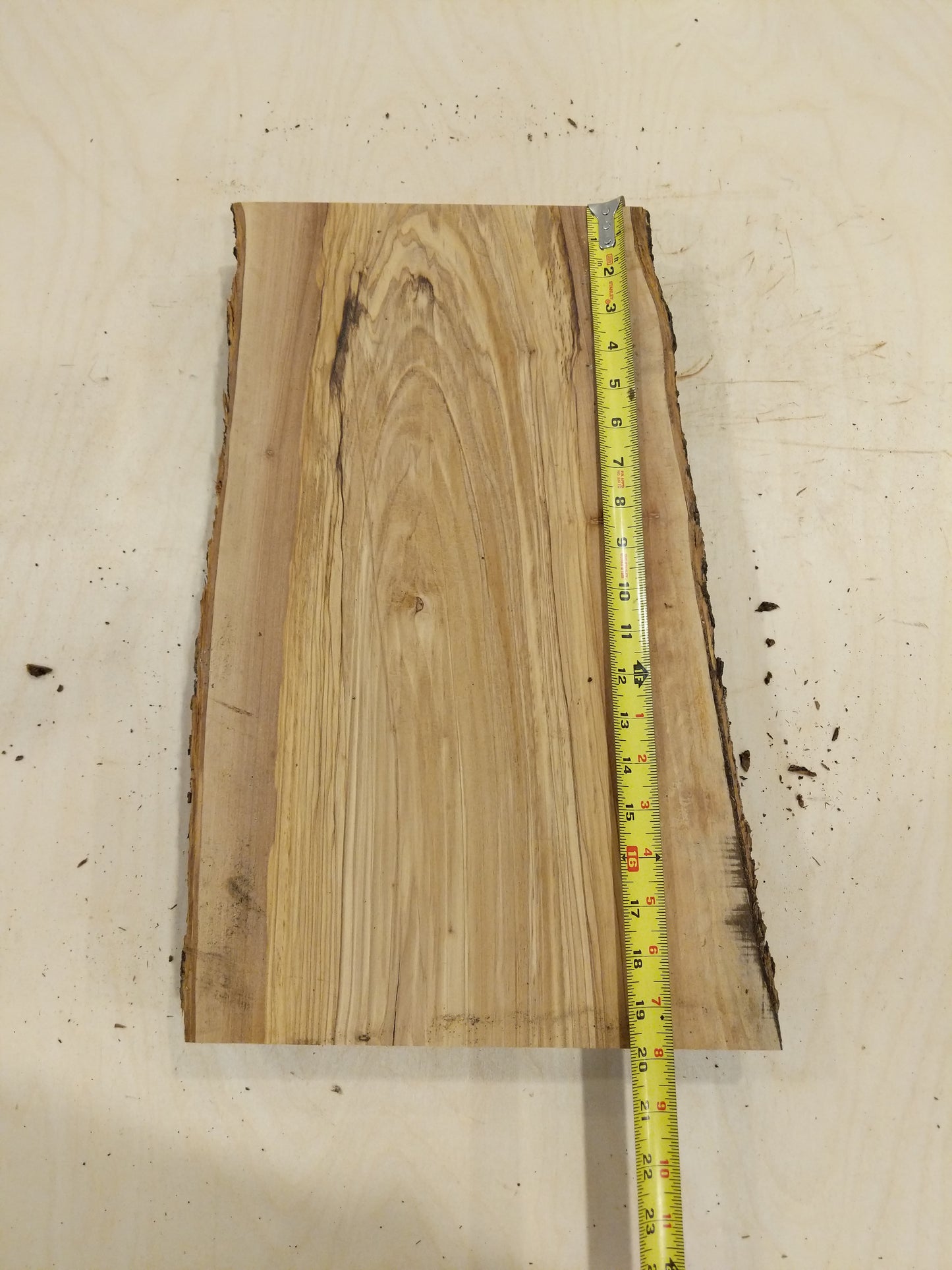 Italian Olive Wood Live Edge Mini Slab