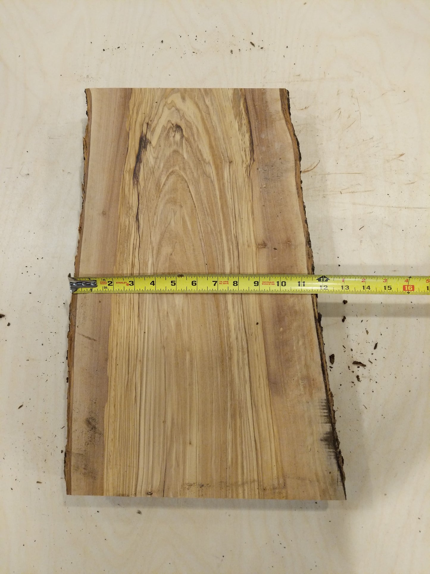 Italian Olive Wood Live Edge Mini Slab