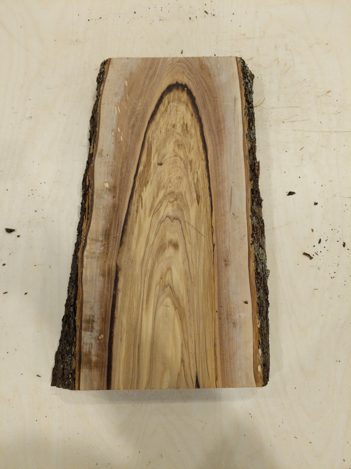 Italian Olive Wood Live Edge Mini Slab