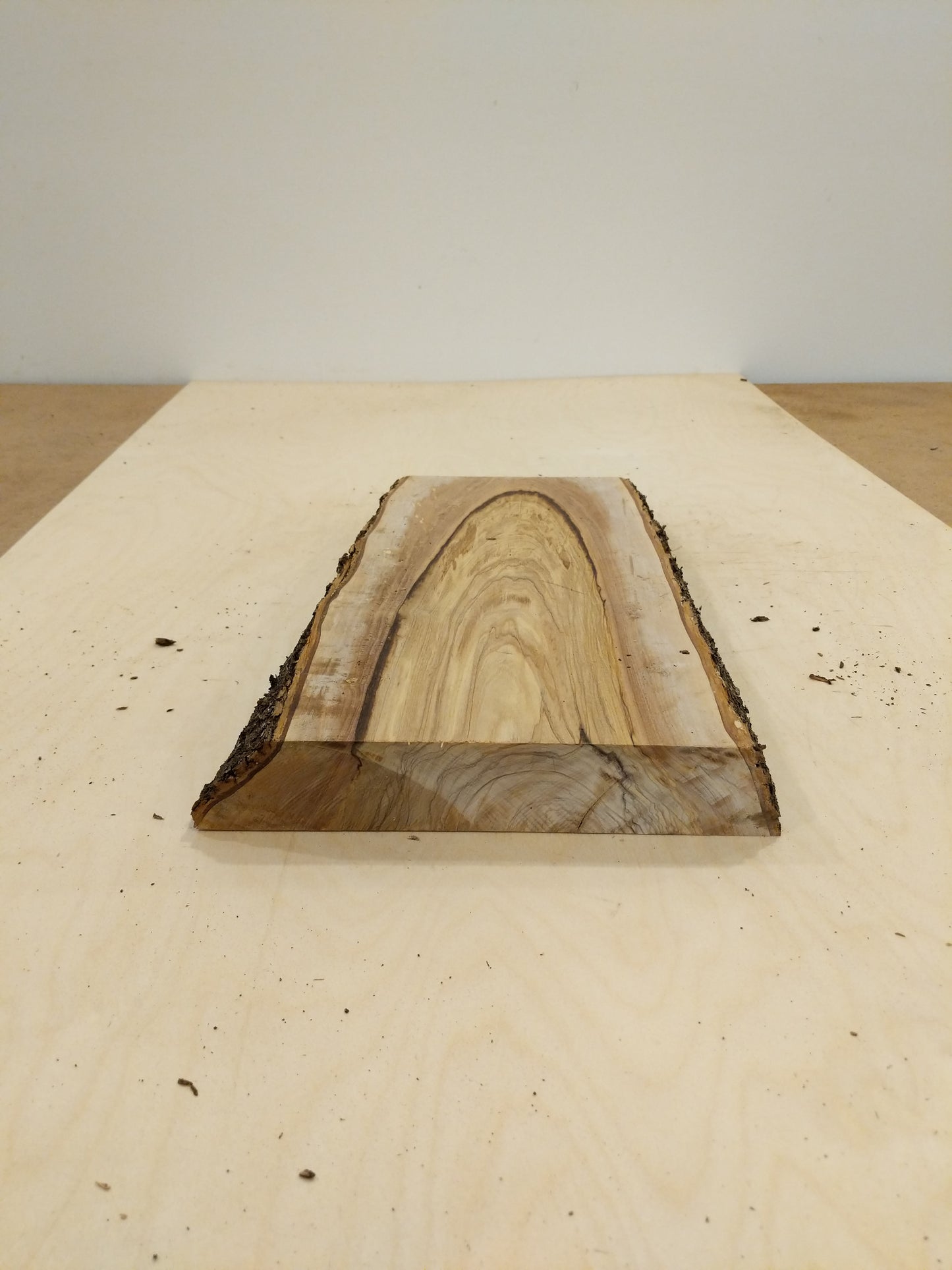 Italian Olive Wood Live Edge Mini Slab