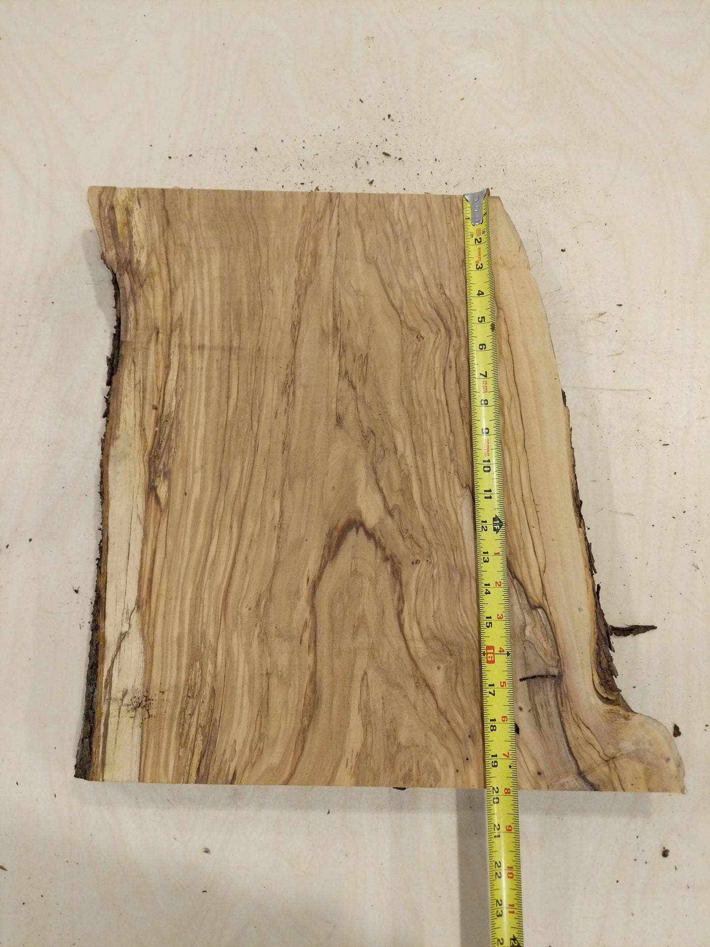 Italian Olive Wood Live Edge Mini Slab