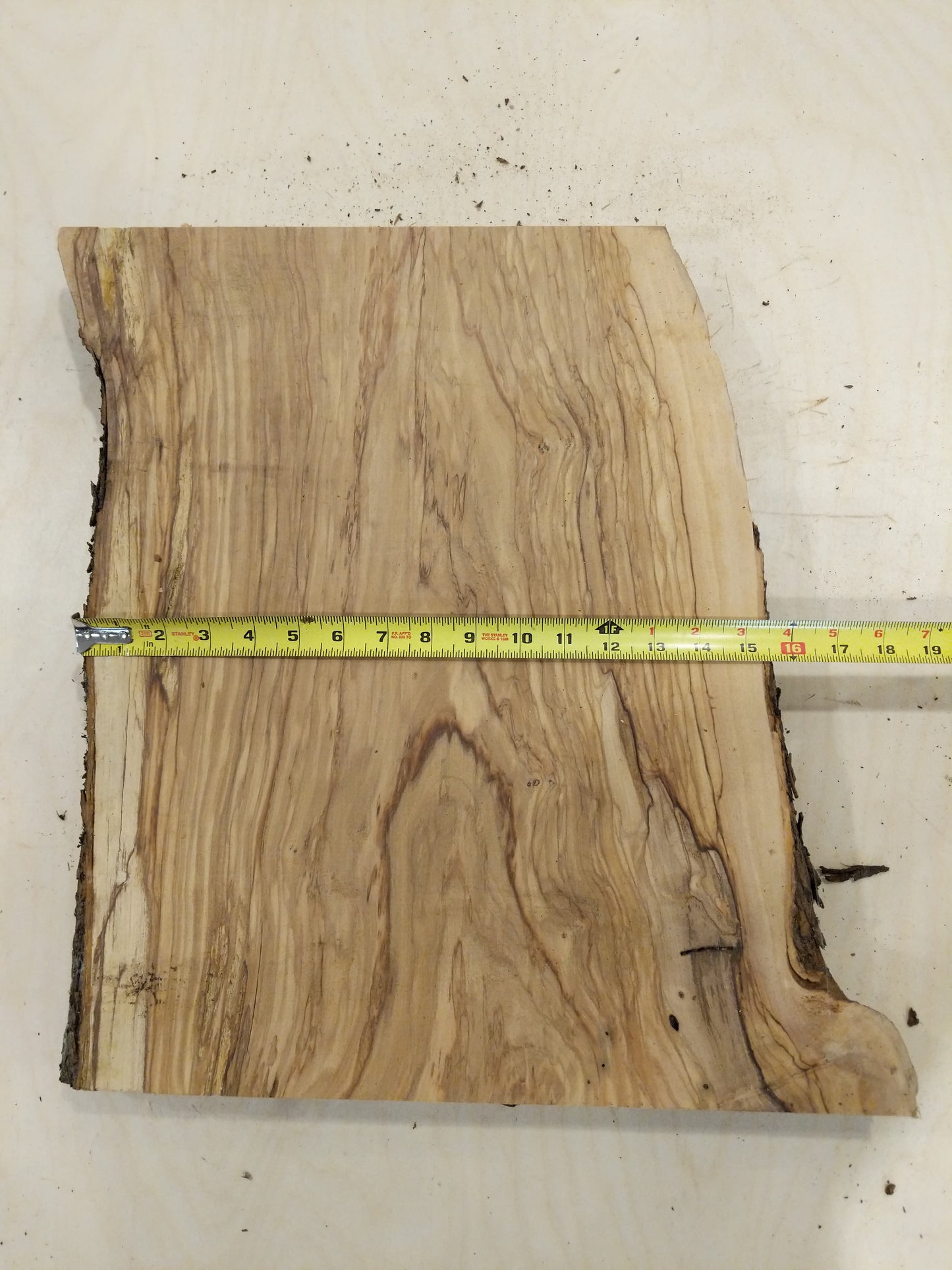 Italian Olive Wood Live Edge Mini Slab