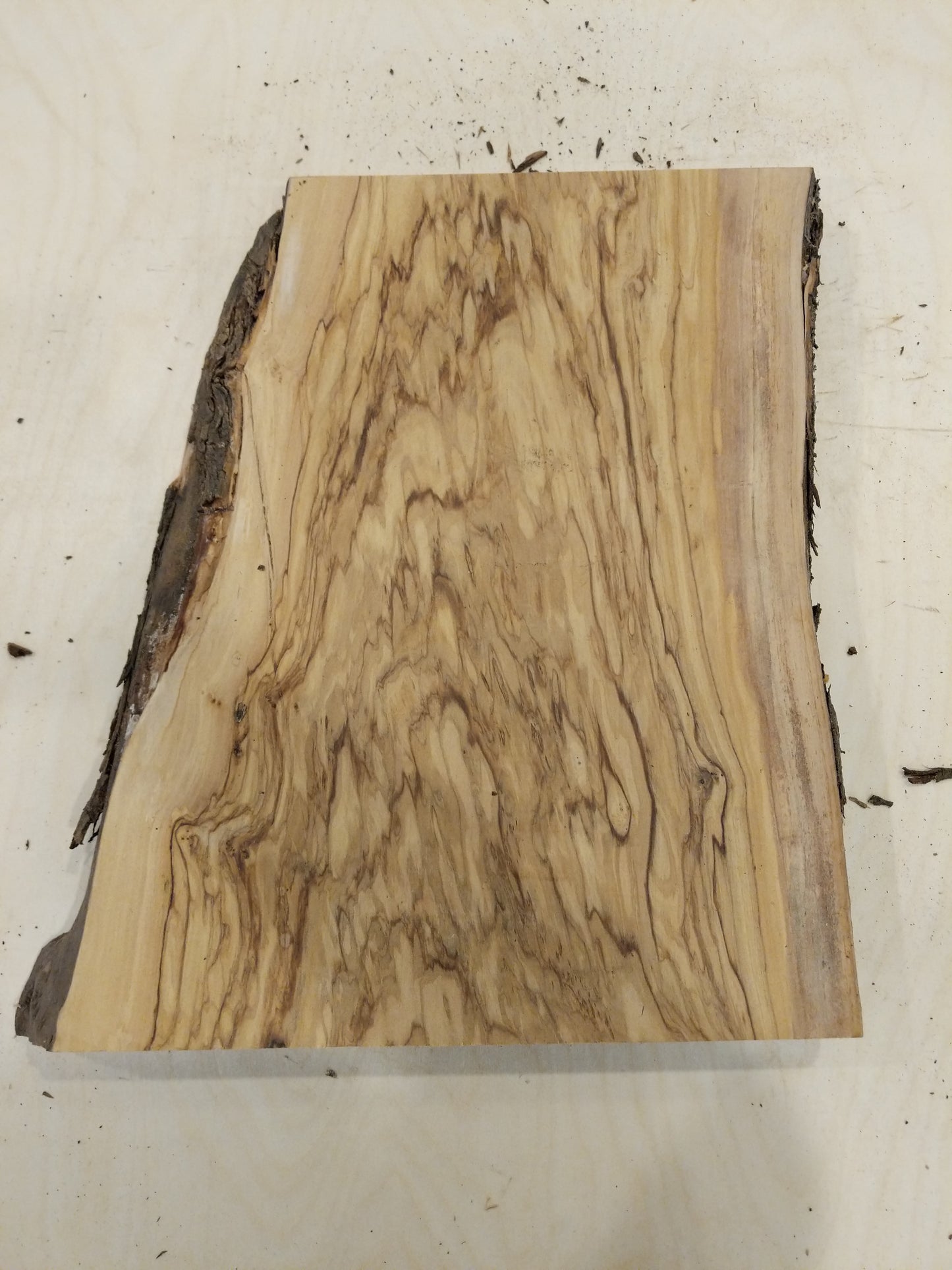 Italian Olive Wood Live Edge Mini Slab