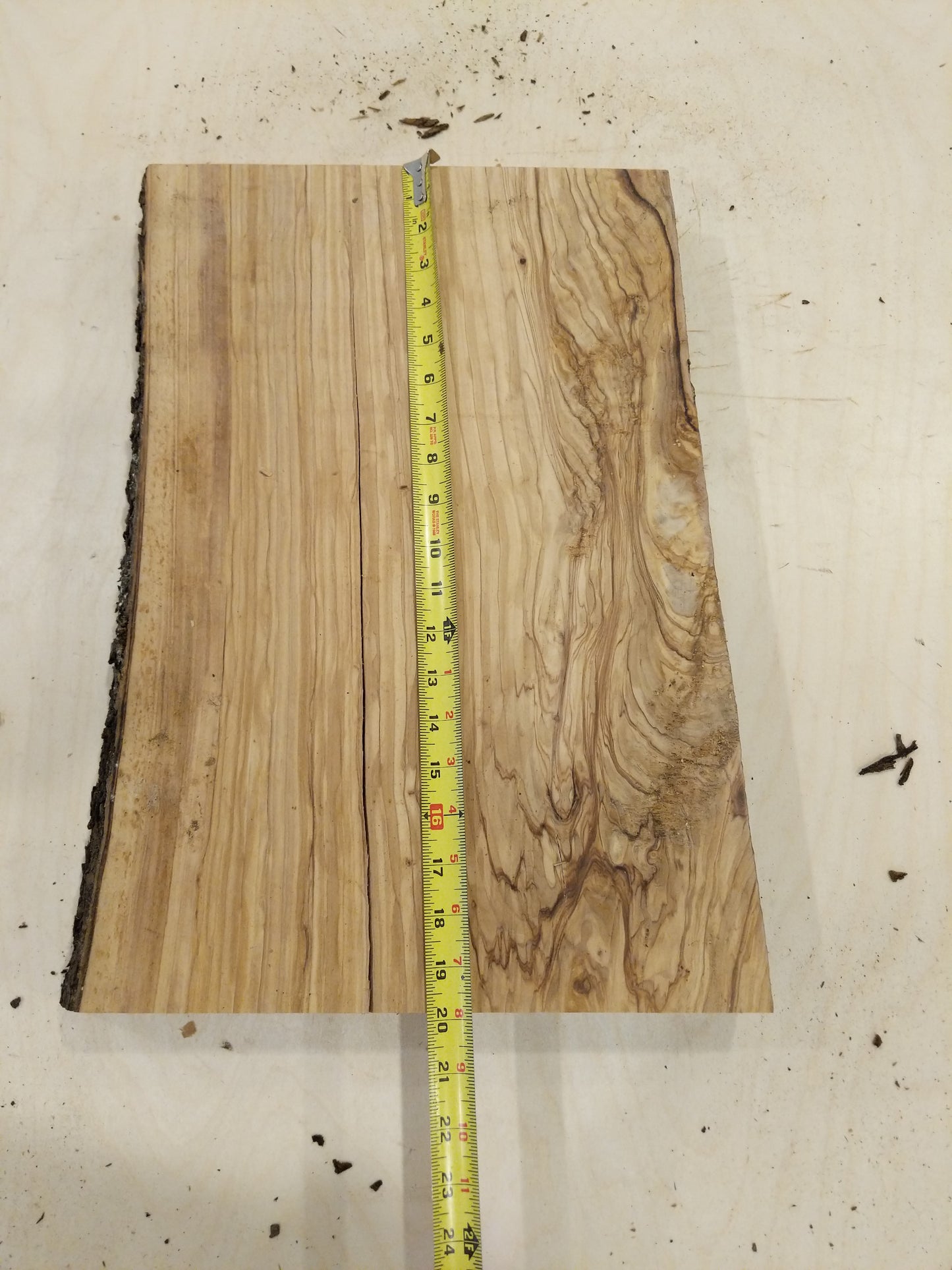 Italian Olive Wood Live Edge Mini Slab