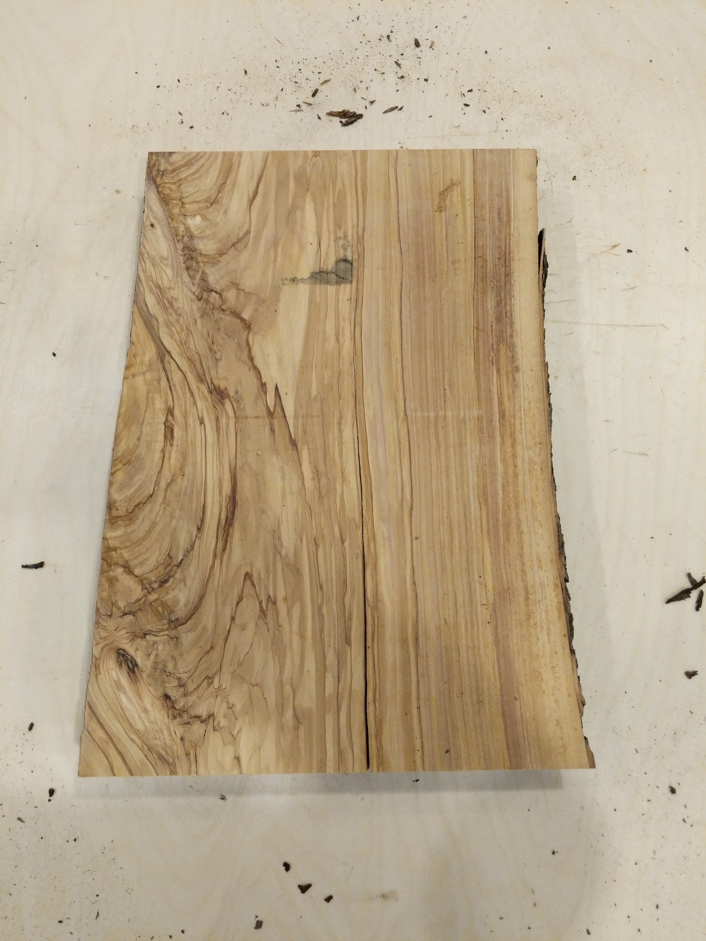 Italian Olive Wood Live Edge Mini Slab