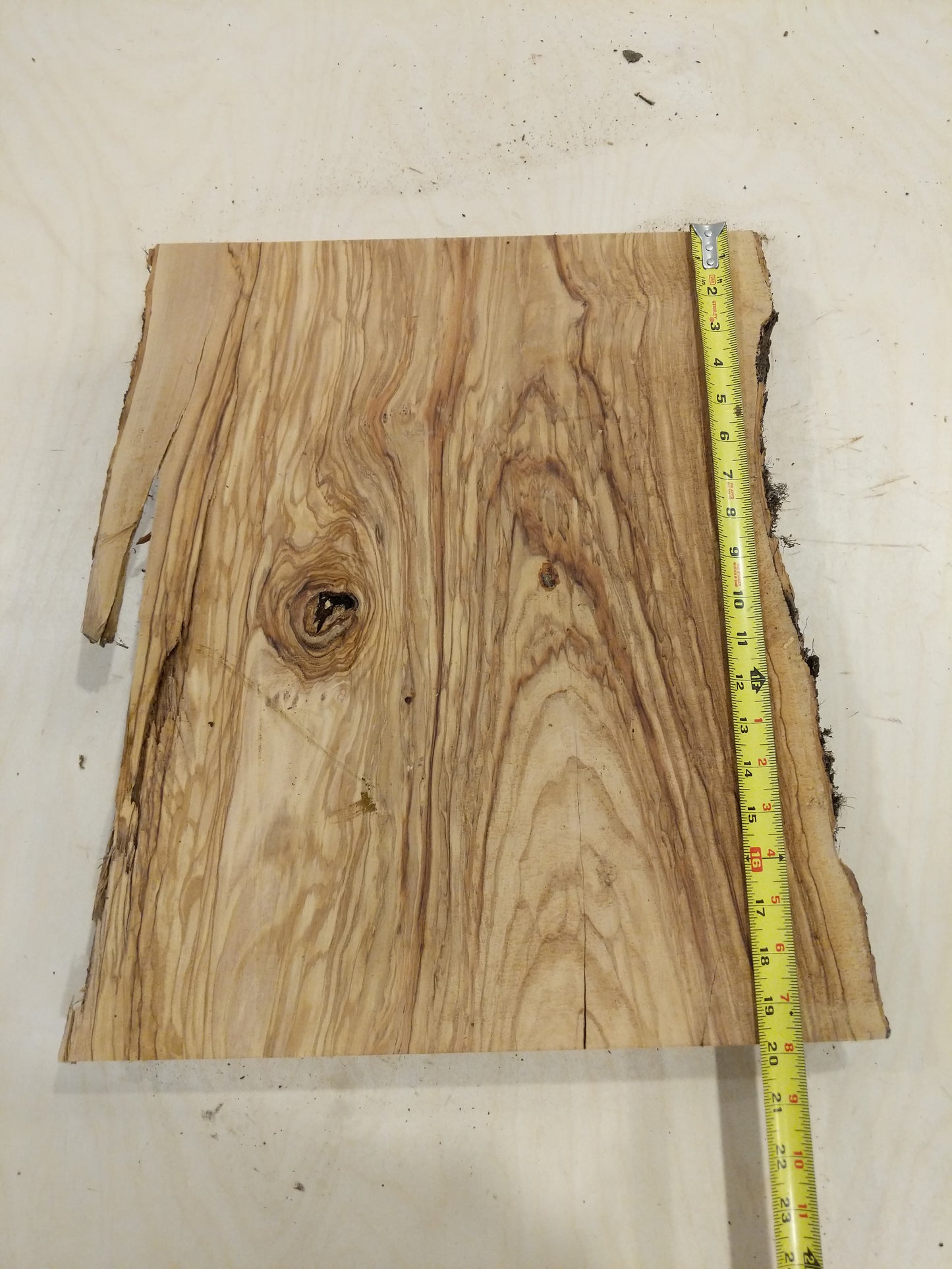 Italian Olive Wood Live Edge Mini Slab