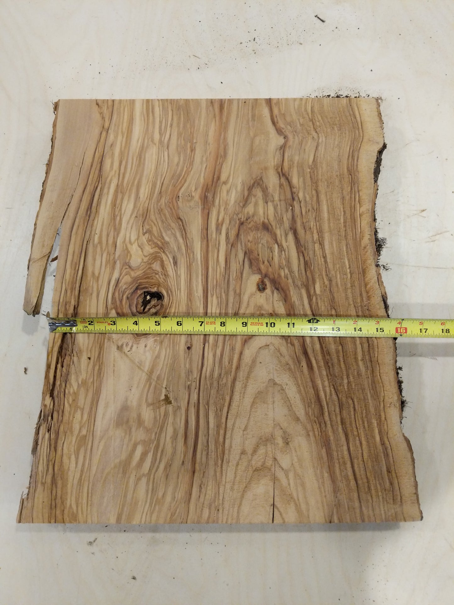 Italian Olive Wood Live Edge Mini Slab