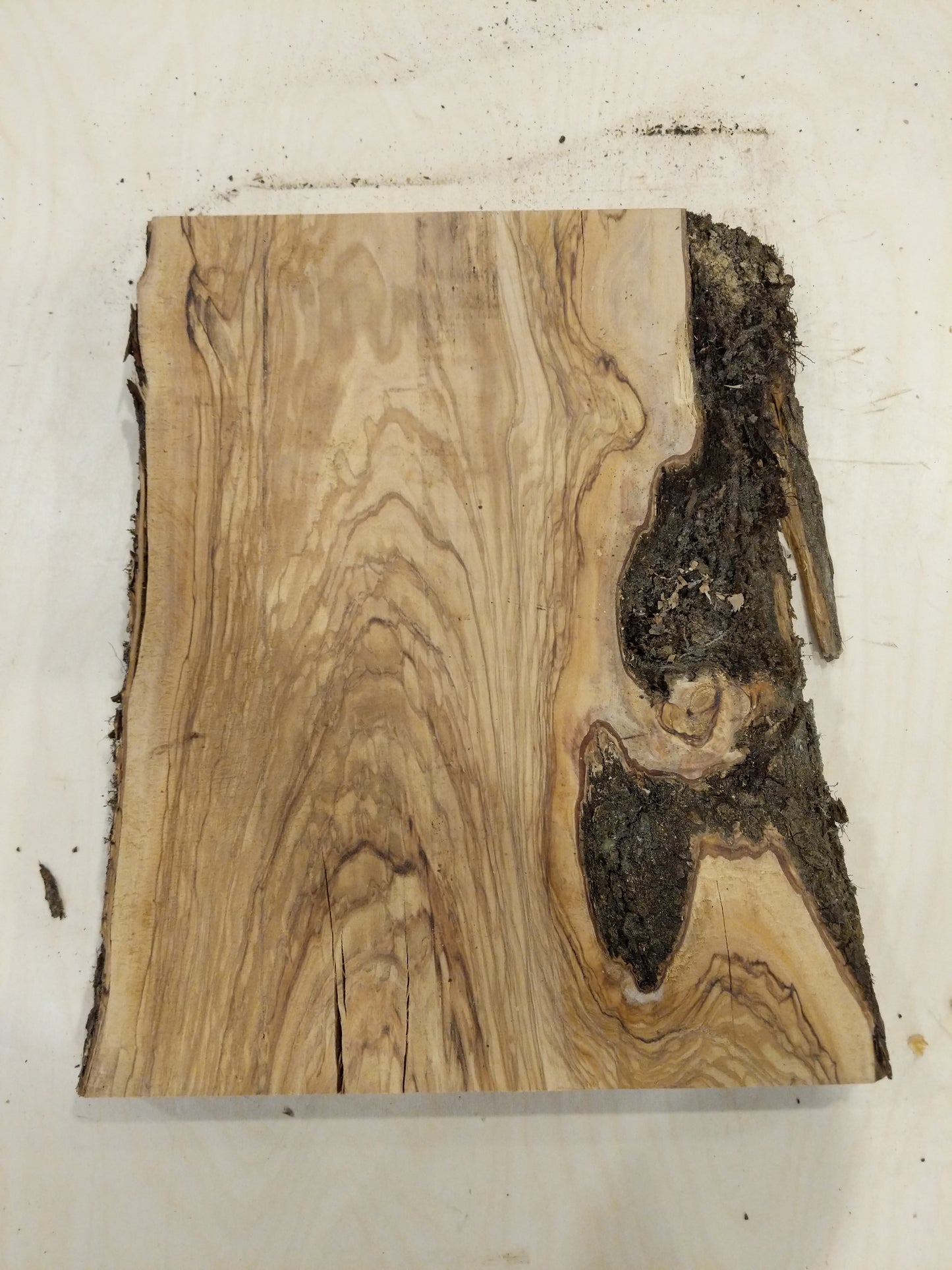 Italian Olive Wood Live Edge Mini Slab