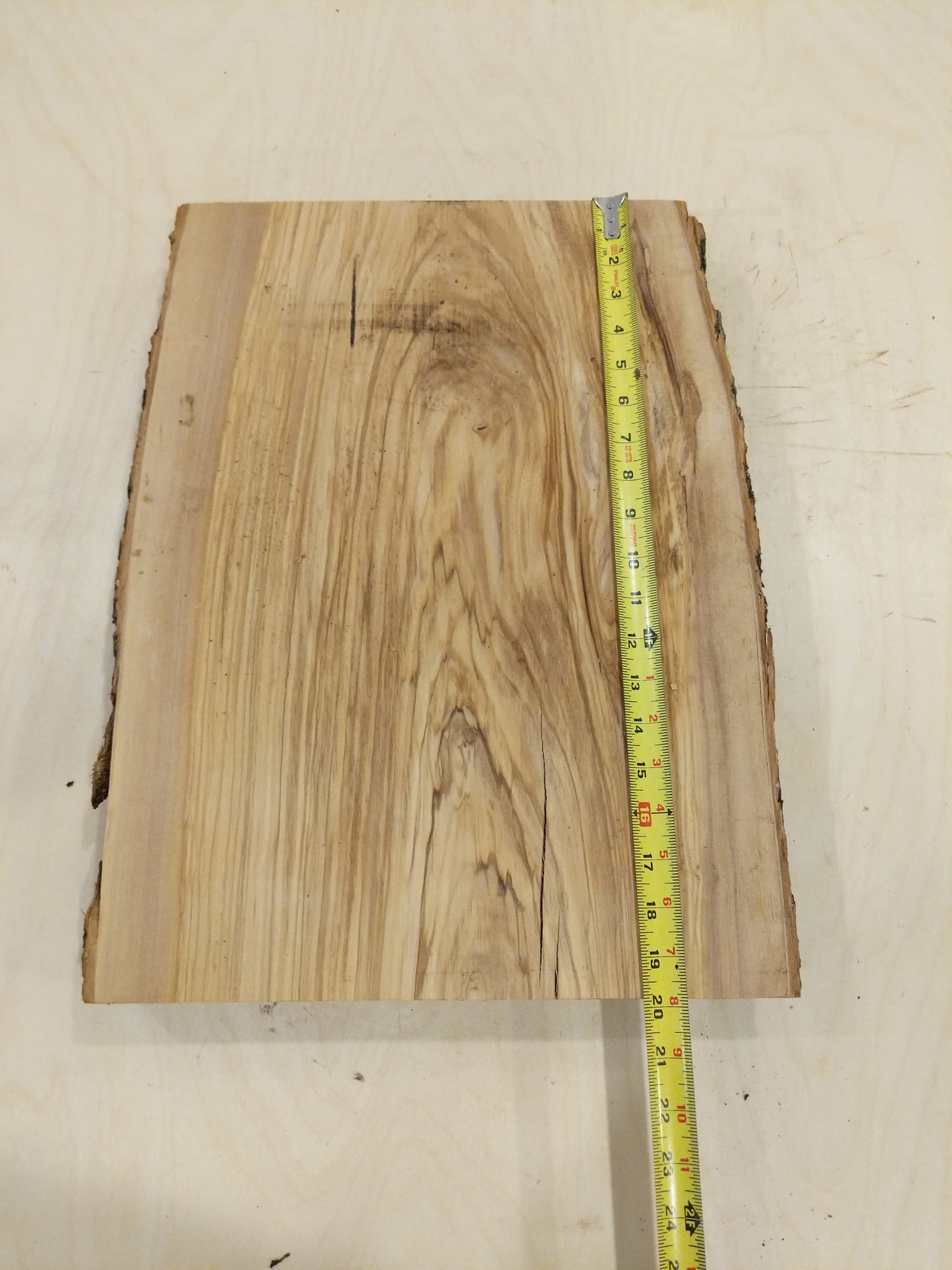 Italian Olive Wood Live Edge Mini Slab