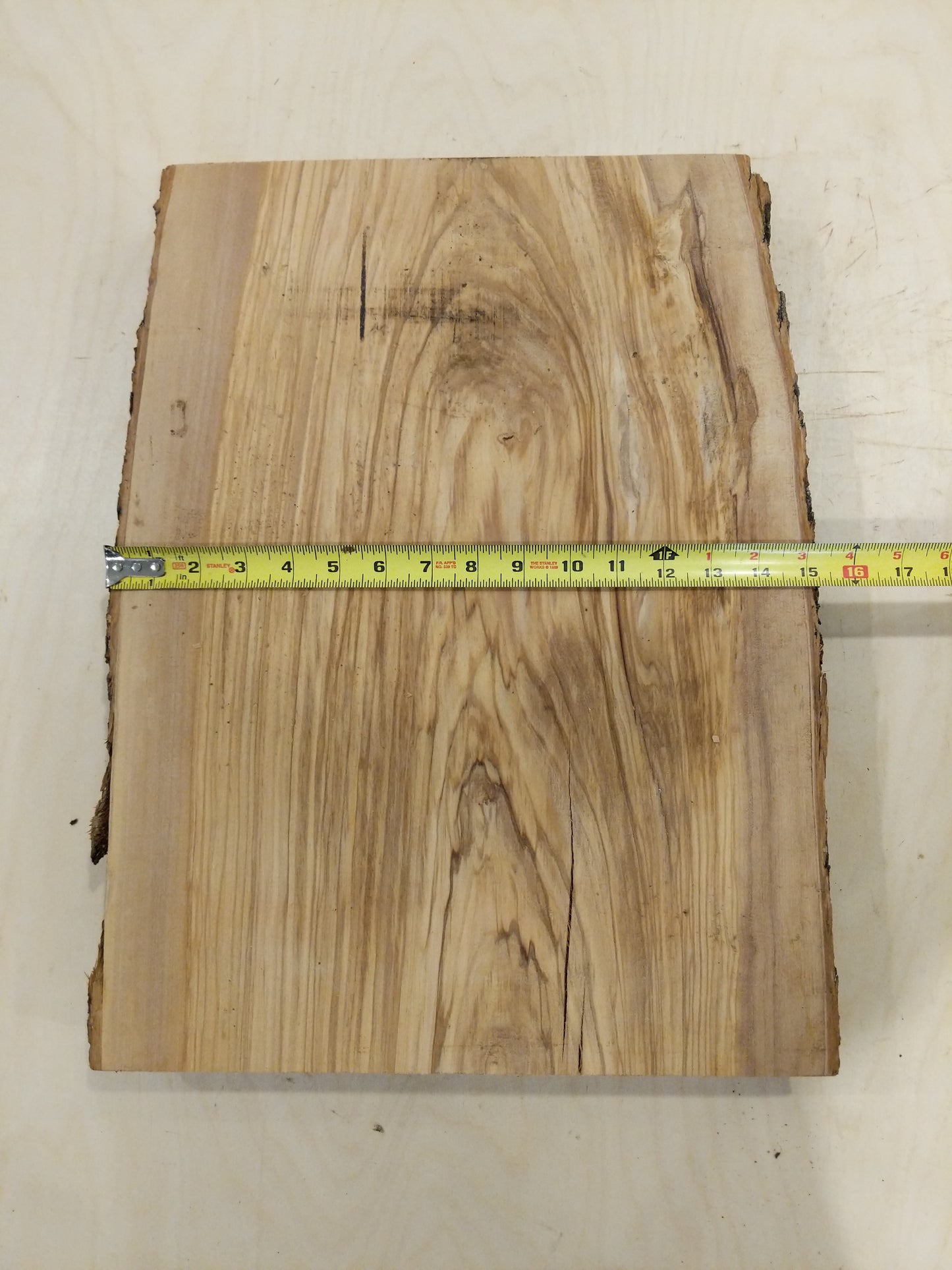 Italian Olive Wood Live Edge Mini Slab