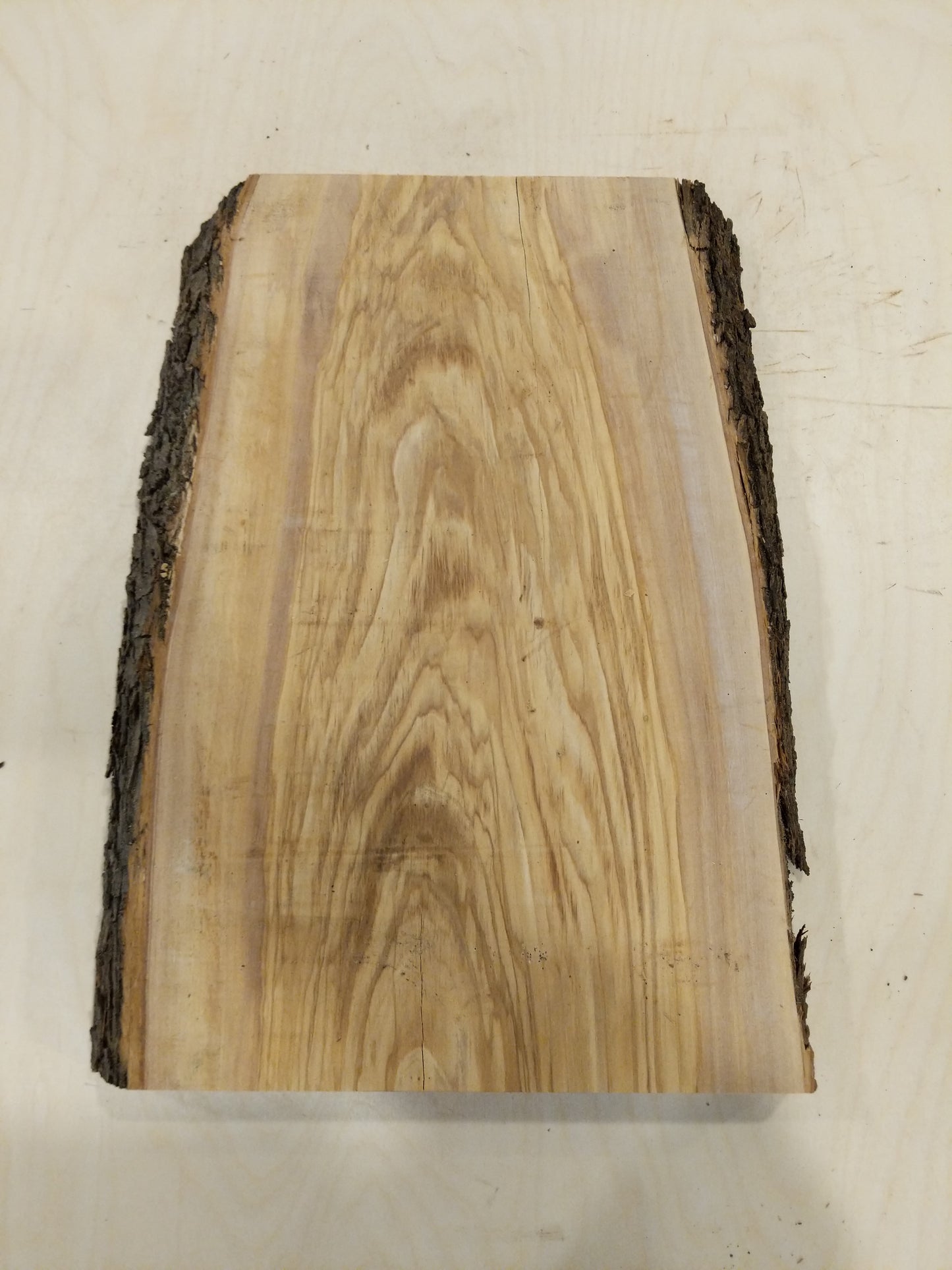 Italian Olive Wood Live Edge Mini Slab