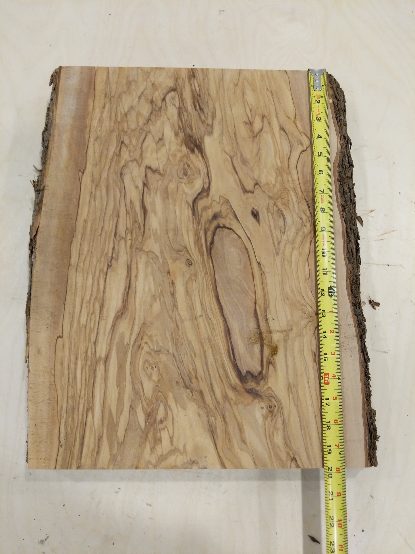 Italian Olive Wood Live Edge Mini Slab