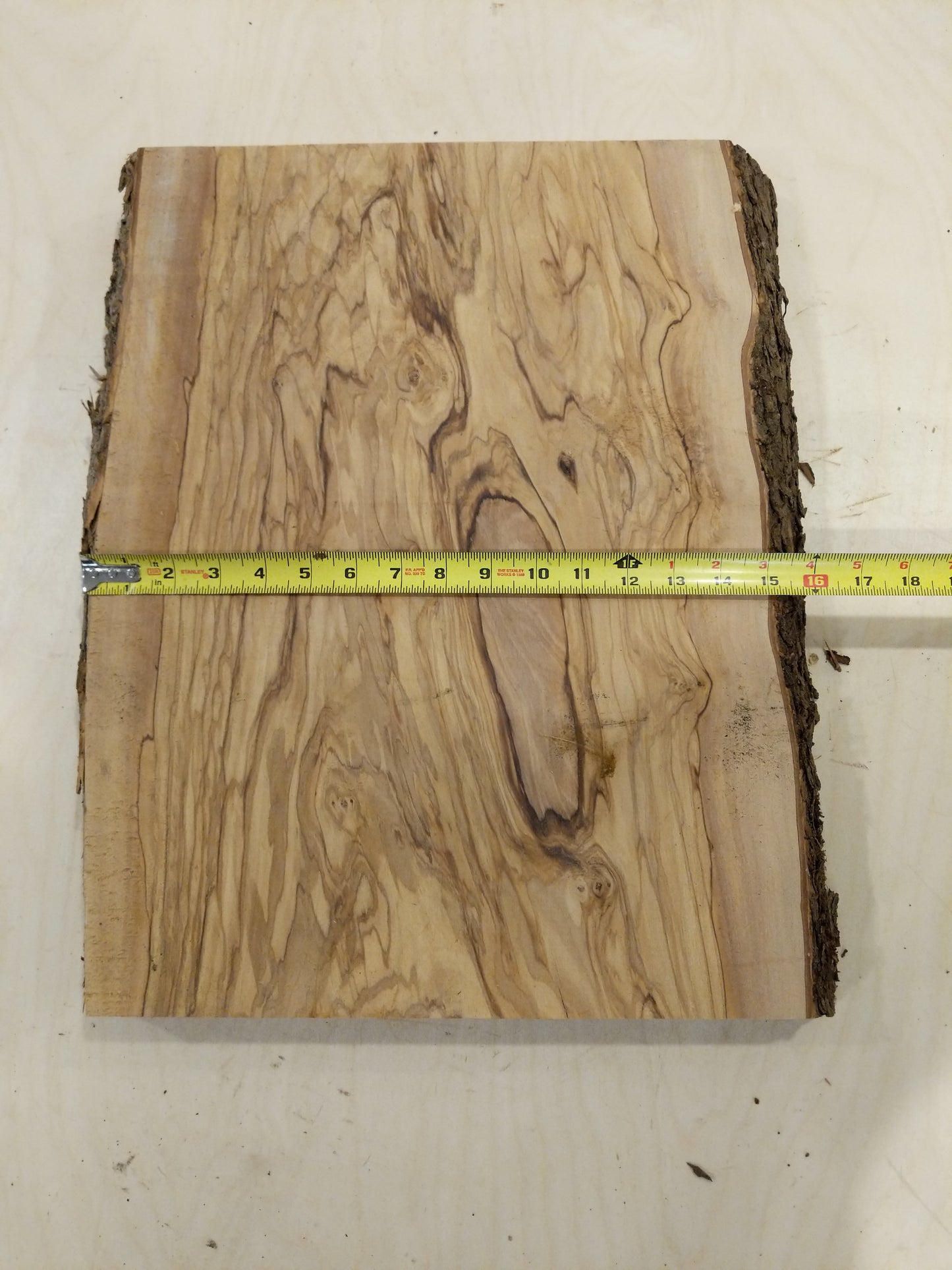 Italian Olive Wood Live Edge Mini Slab