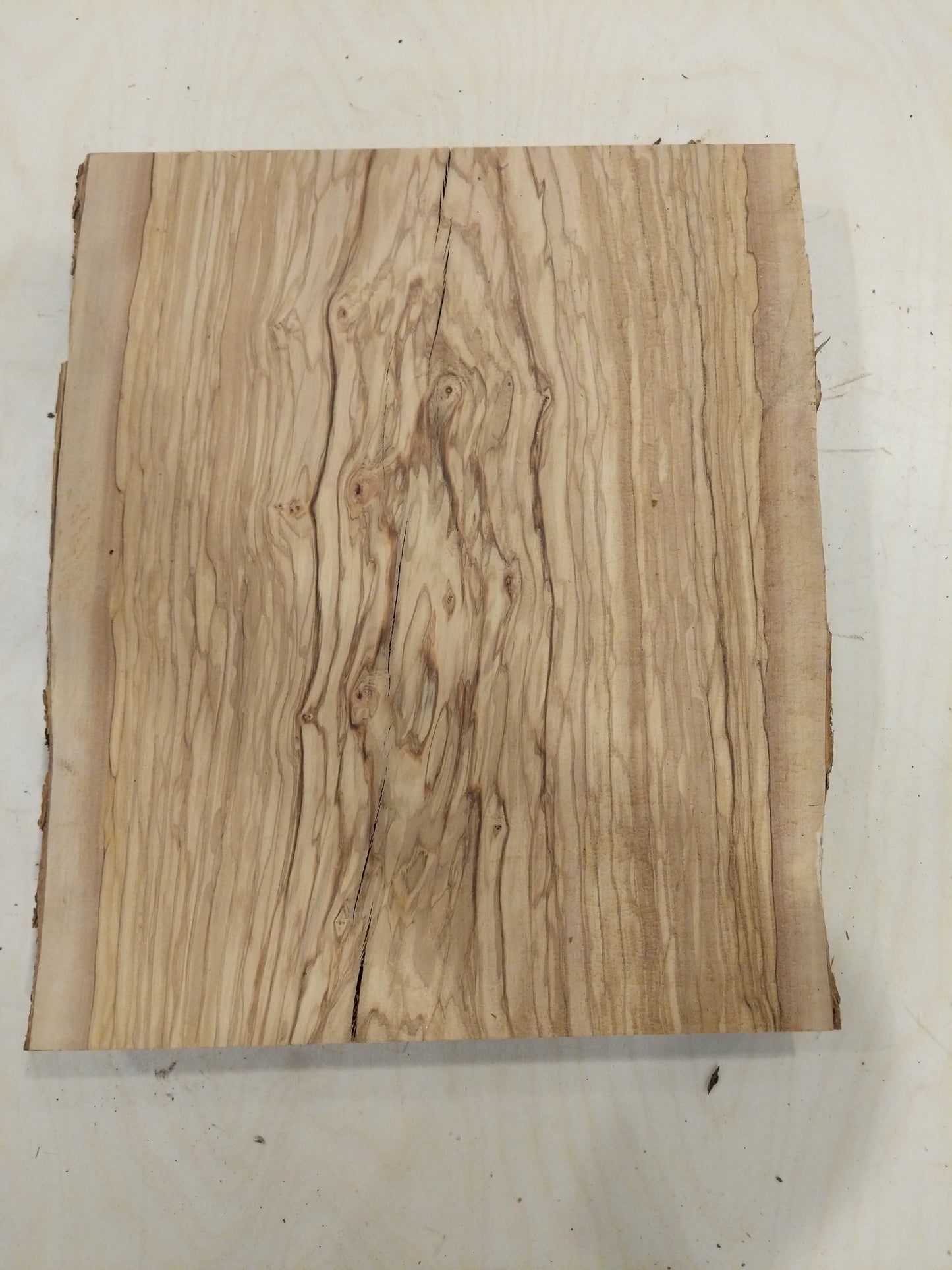 Italian Olive Wood Live Edge Mini Slab