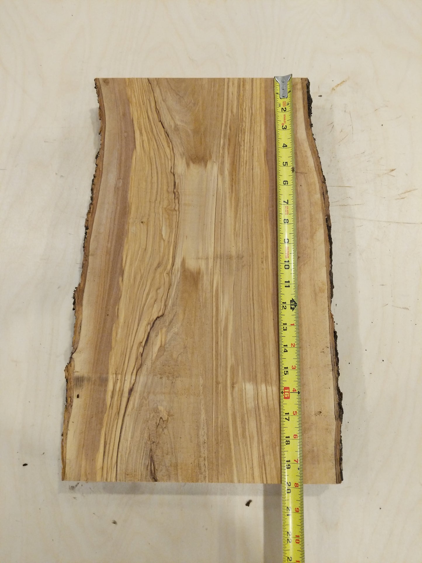 Italian Olive Wood Live Edge Mini Slab