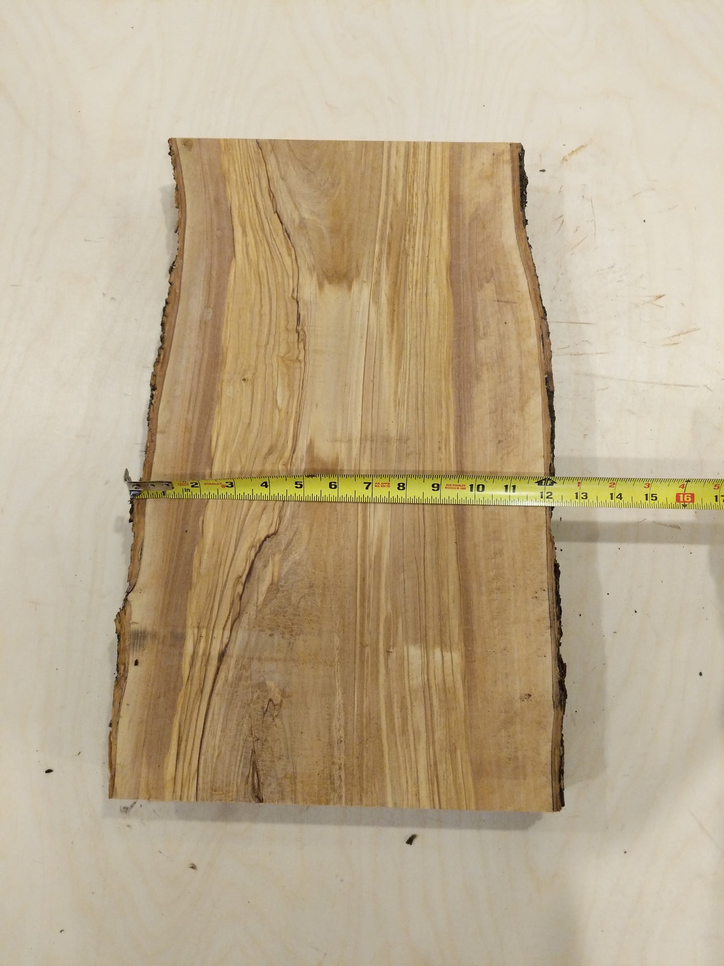 Italian Olive Wood Live Edge Mini Slab