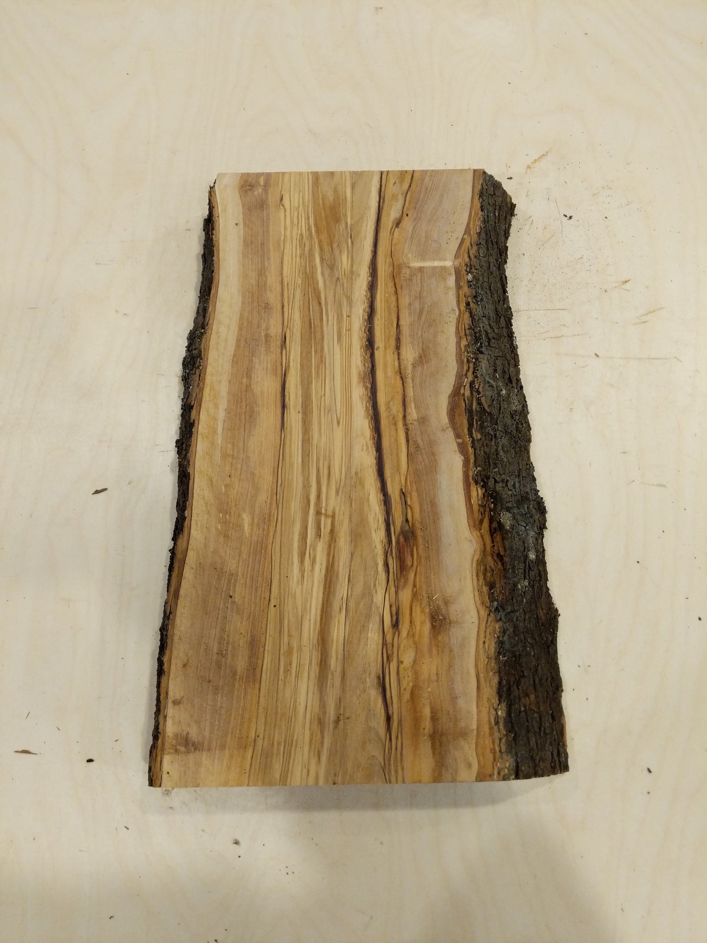 Italian Olive Wood Live Edge Mini Slab