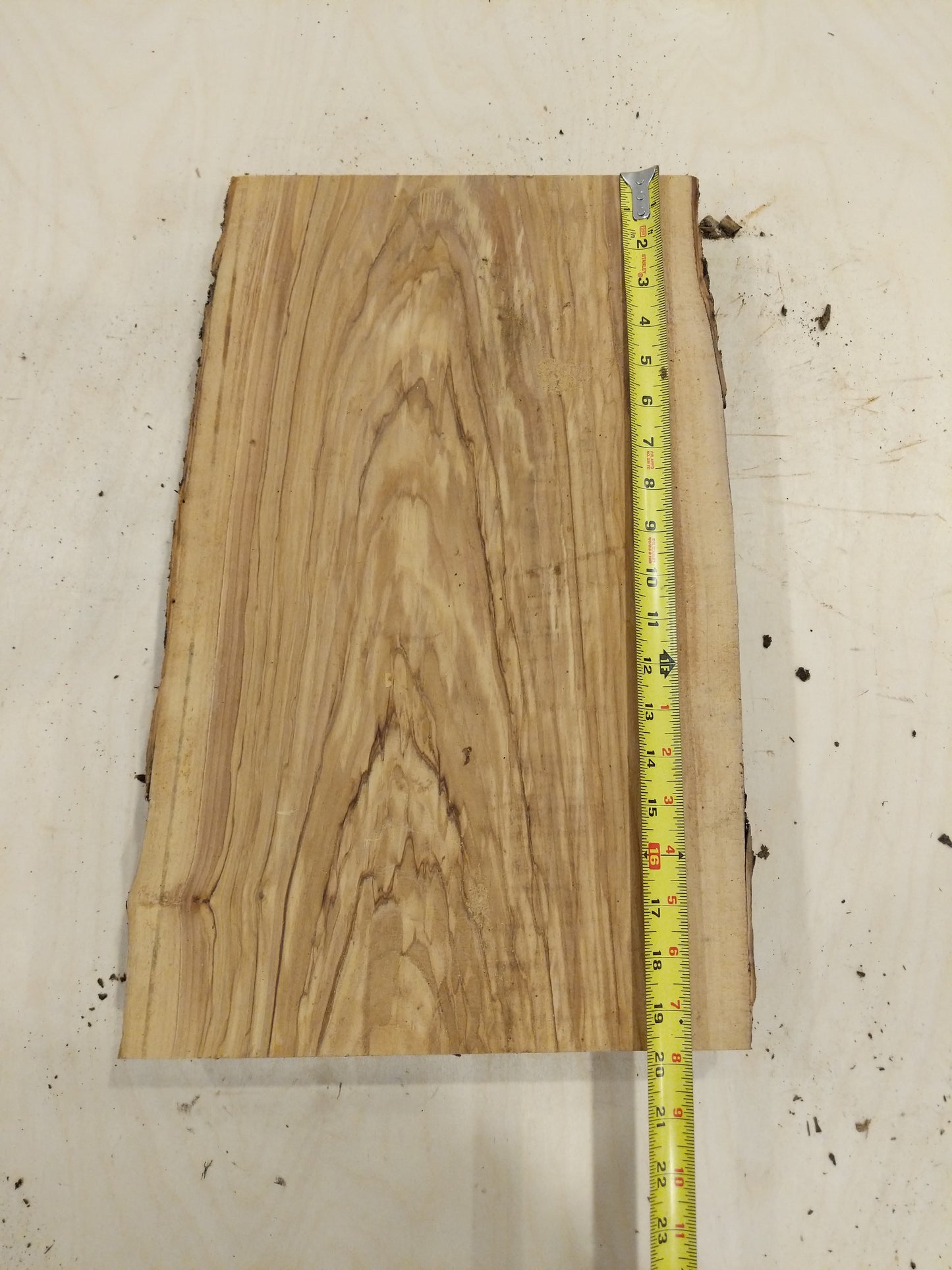 Italian Olive Wood Live Edge Mini Slab