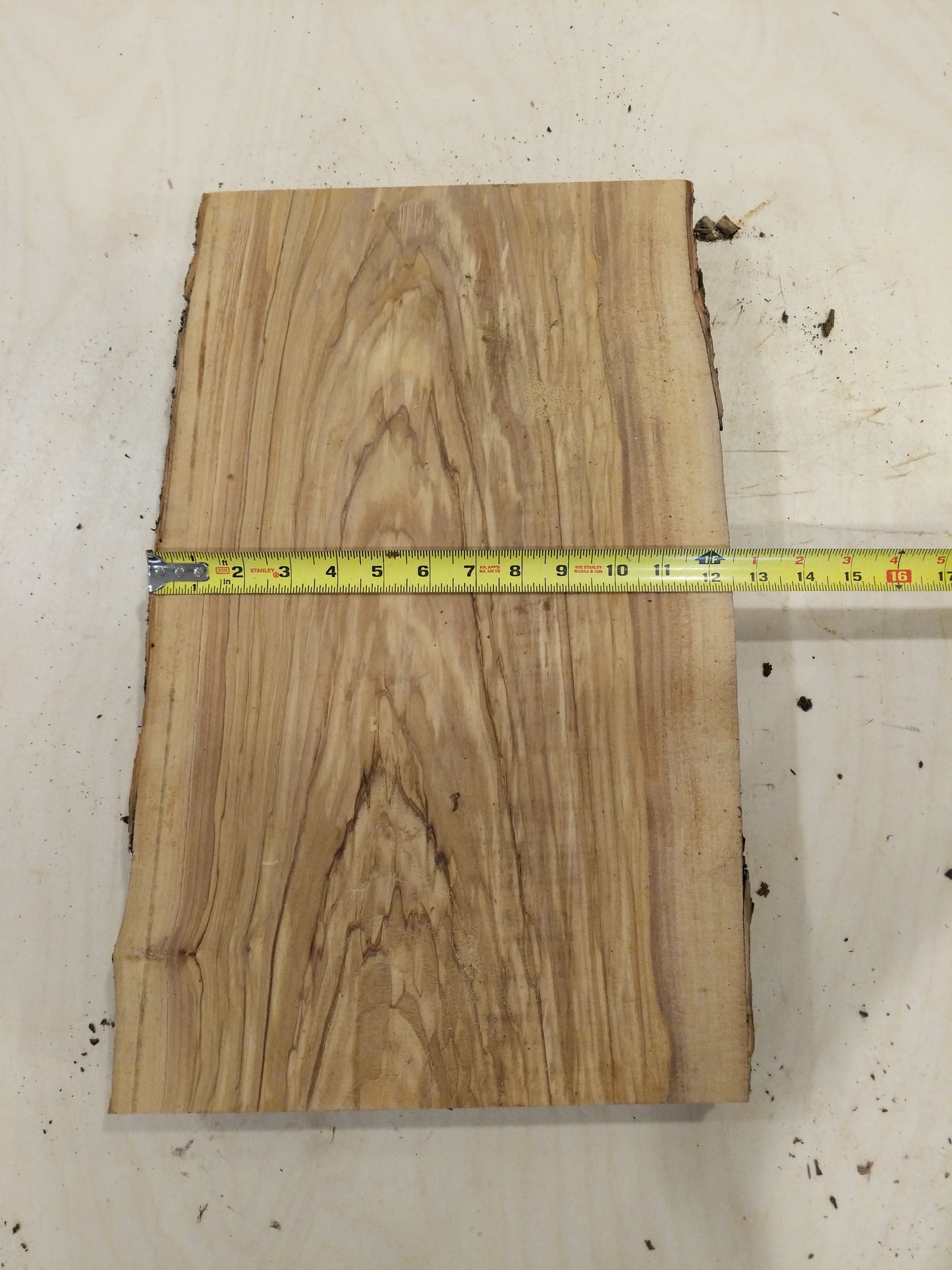 Italian Olive Wood Live Edge Mini Slab