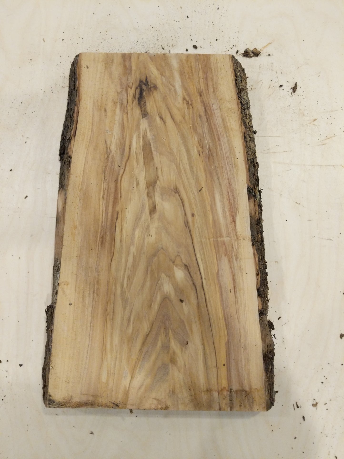 Italian Olive Wood Live Edge Mini Slab